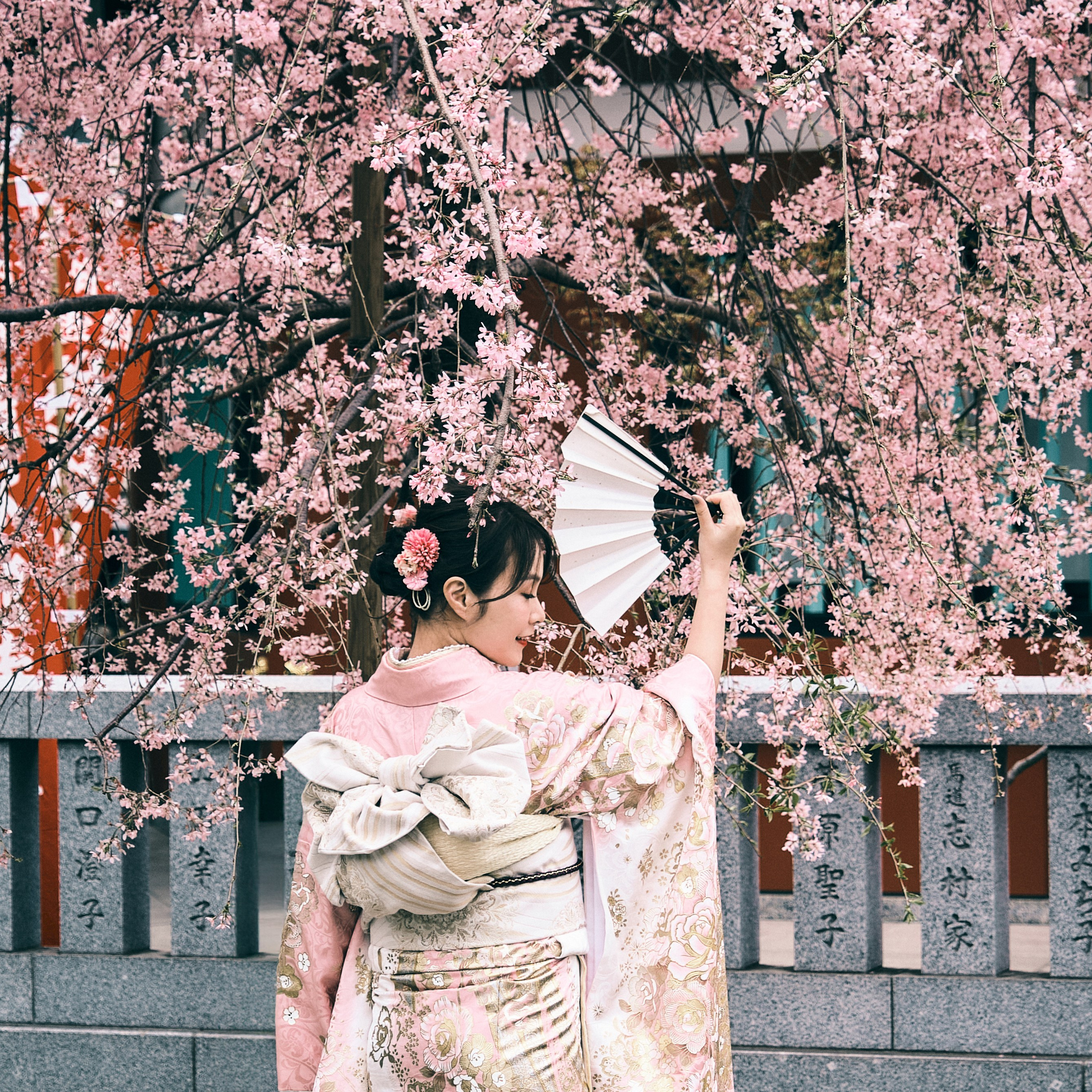 Japan / Osaka≫Kyoto≫Tokyo