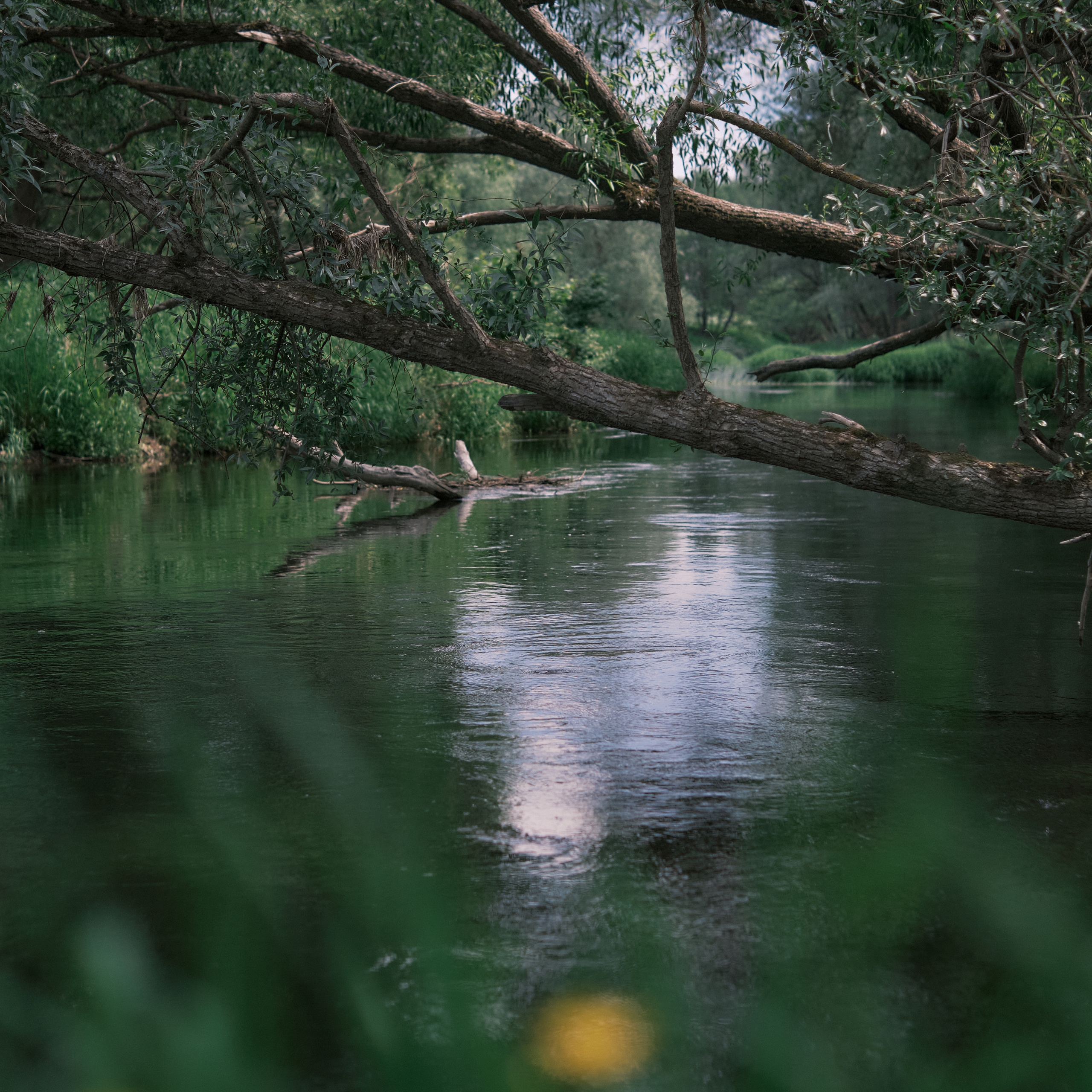 Reviews. Aleksandr Kobtsev