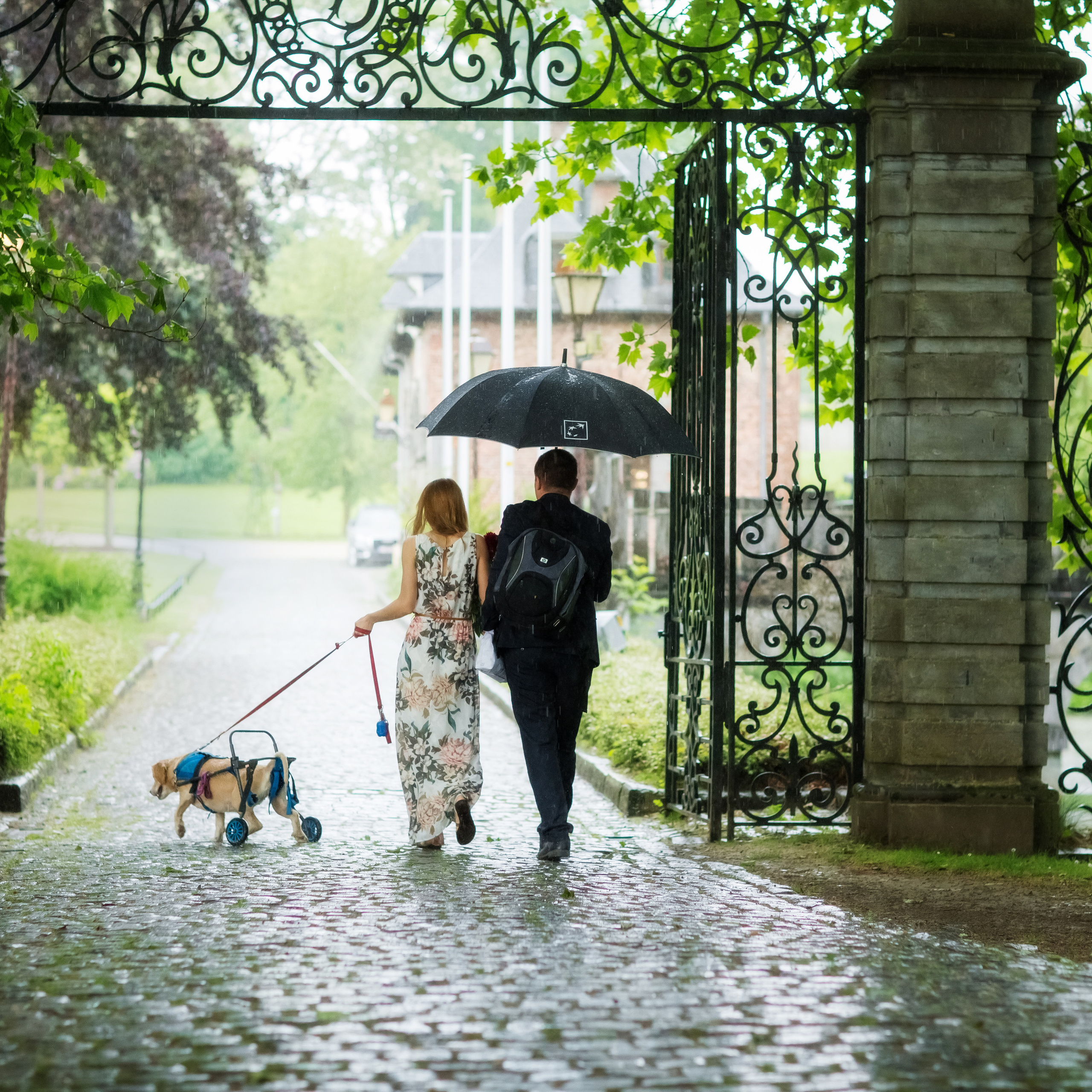 Алексей и Ольга