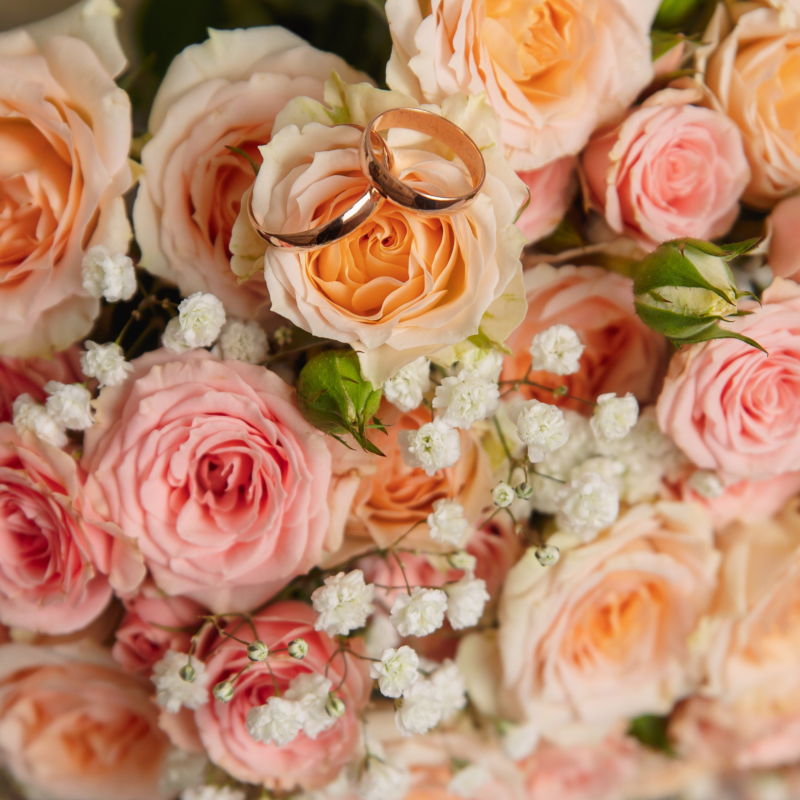 Отзывы. Фотограф в Кронштадте и Санкт-Петербурге Анастасия Коваленко