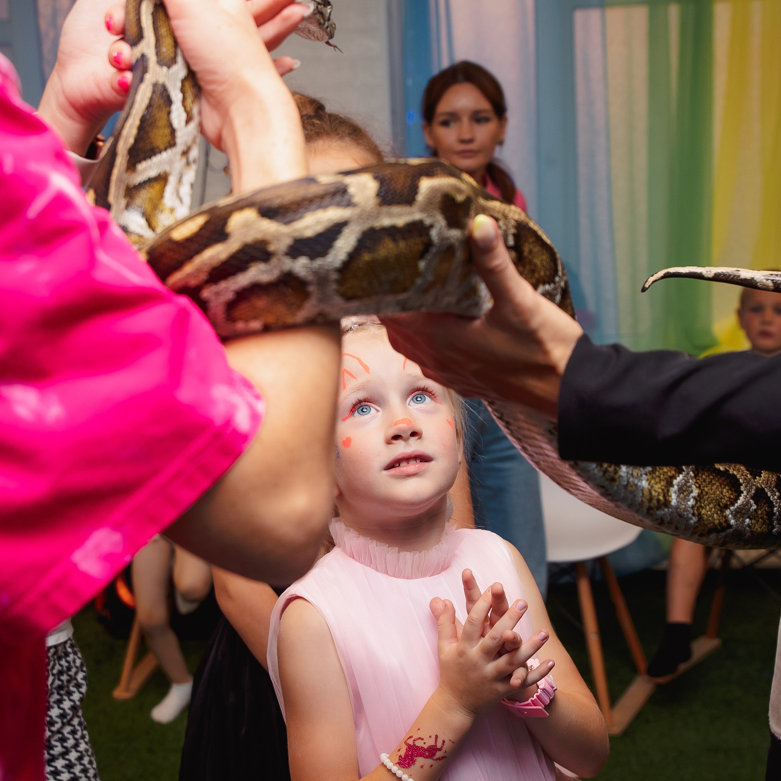 День Рождения