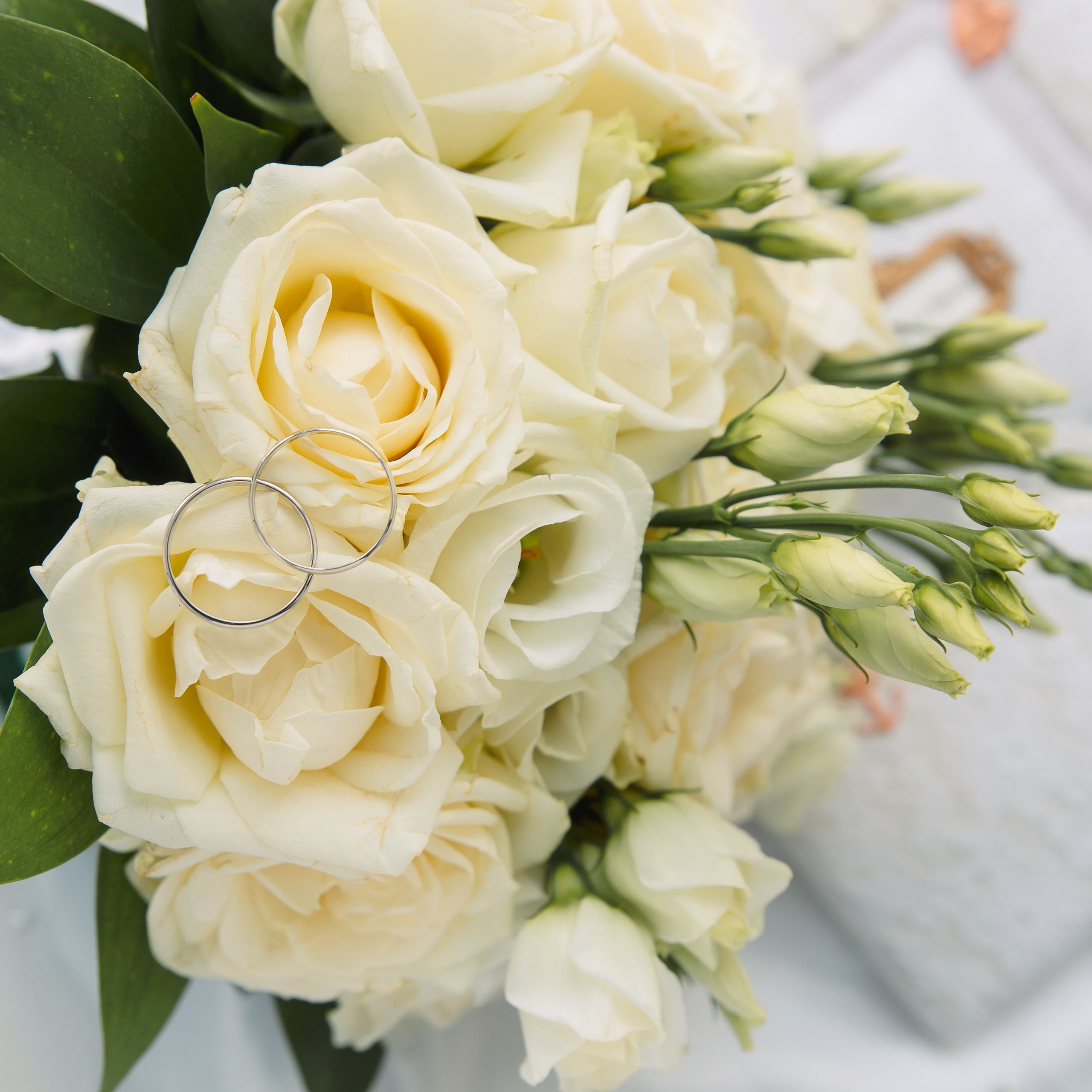 Отзывы. Фотограф в Кронштадте и Санкт-Петербурге Анастасия Коваленко