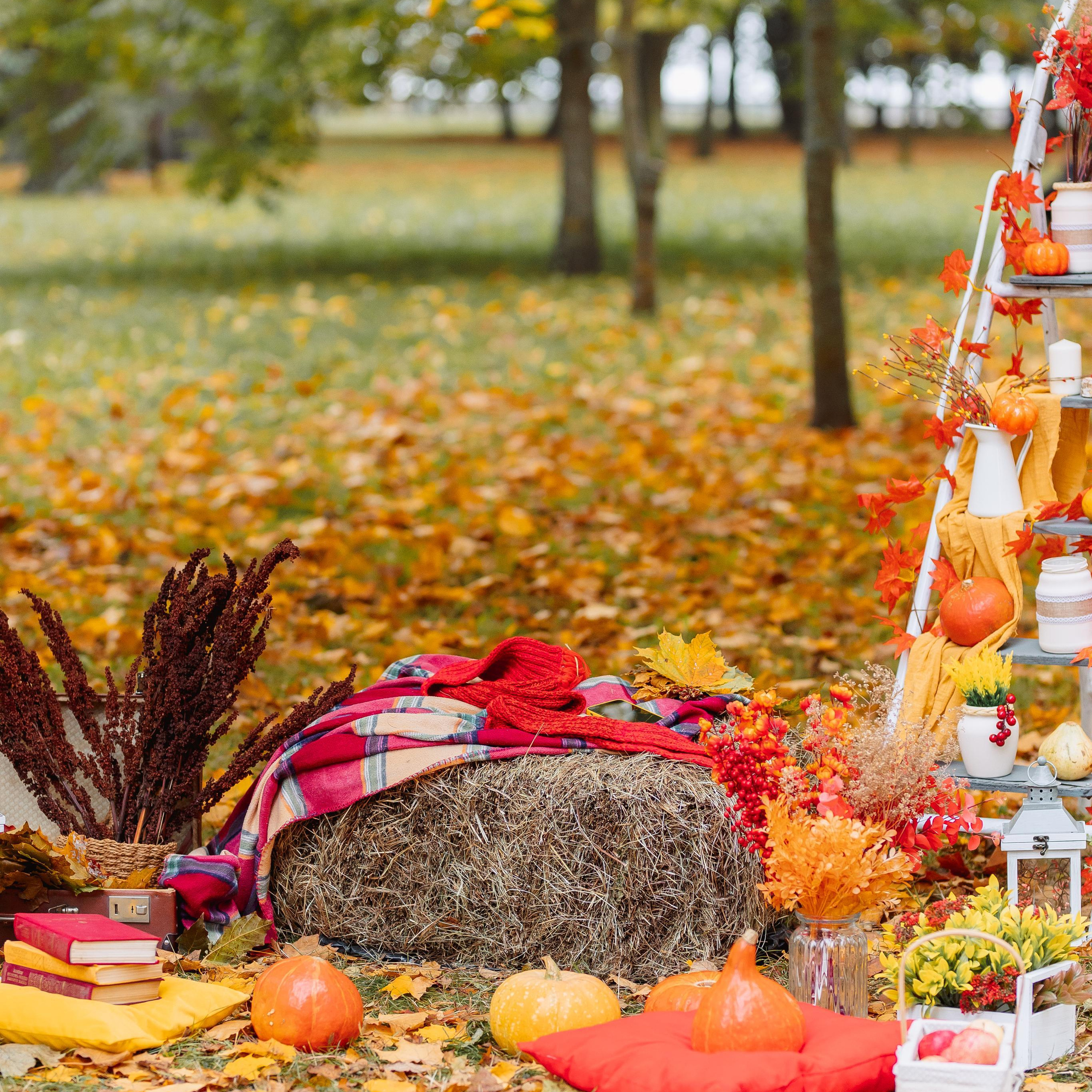 Отзывы. Фотограф в Кронштадте и Санкт-Петербурге Анастасия Коваленко