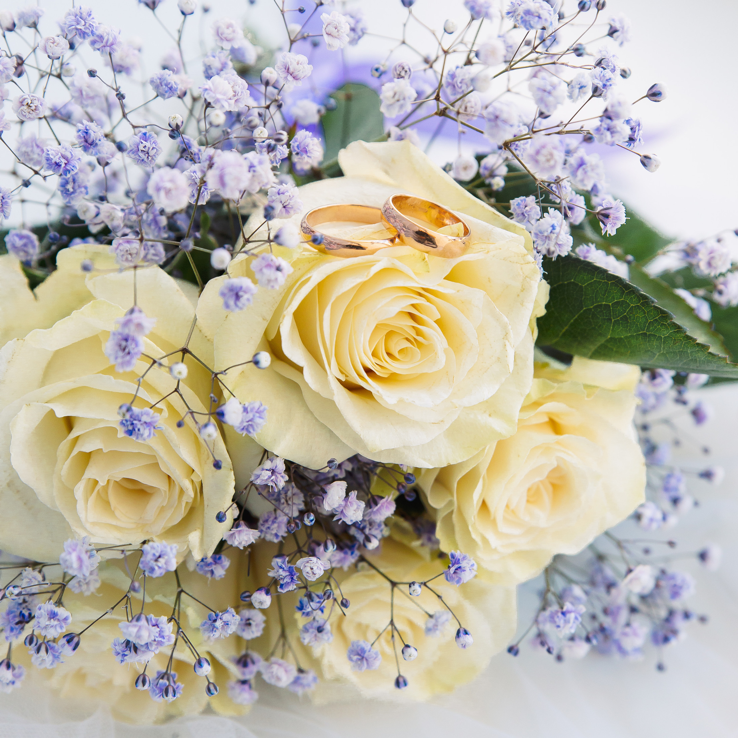 Отзывы. Фотограф в Кронштадте и Санкт-Петербурге Анастасия Коваленко