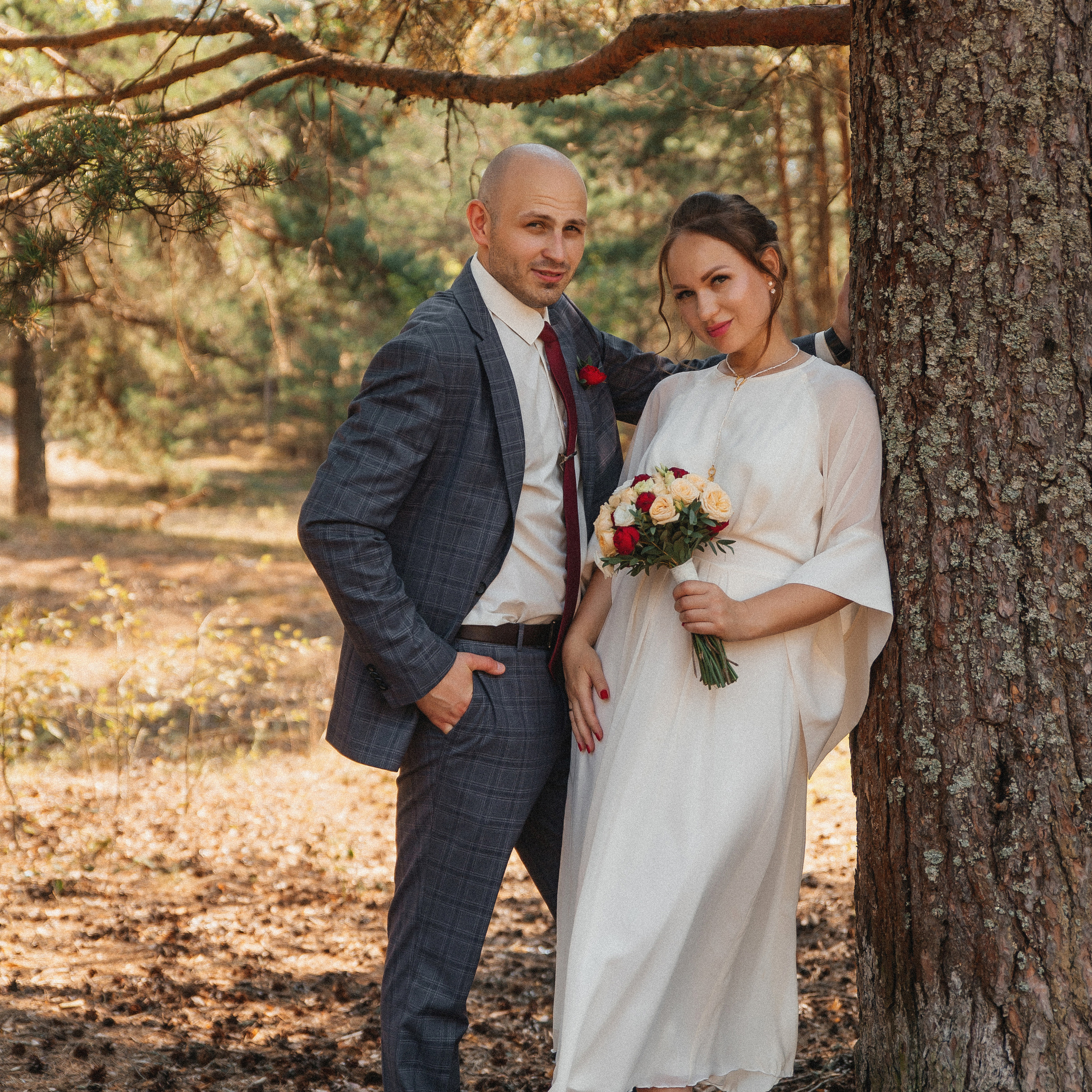 Сосновый лес