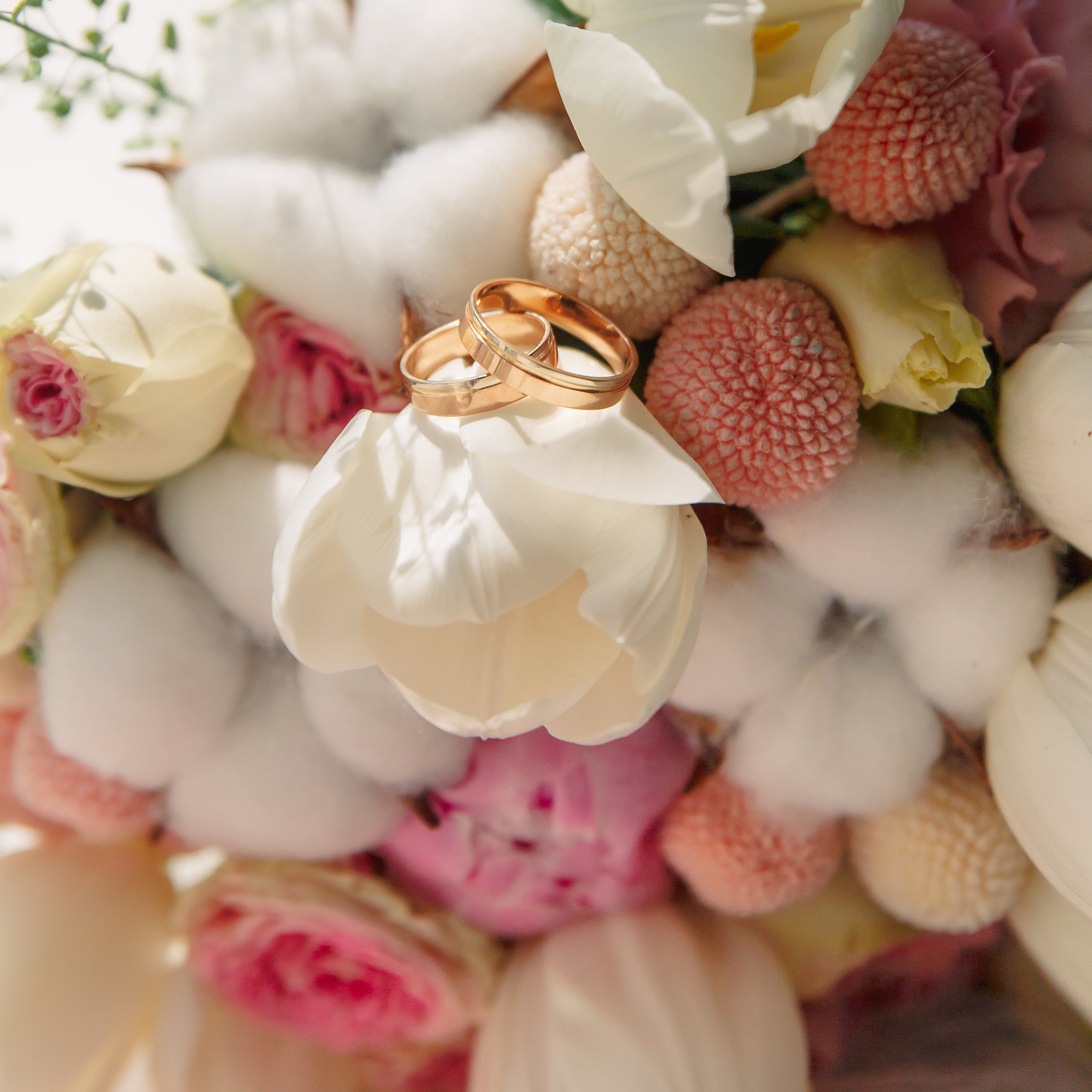 Отзывы. Фотограф в Кронштадте и Санкт-Петербурге Анастасия Коваленко