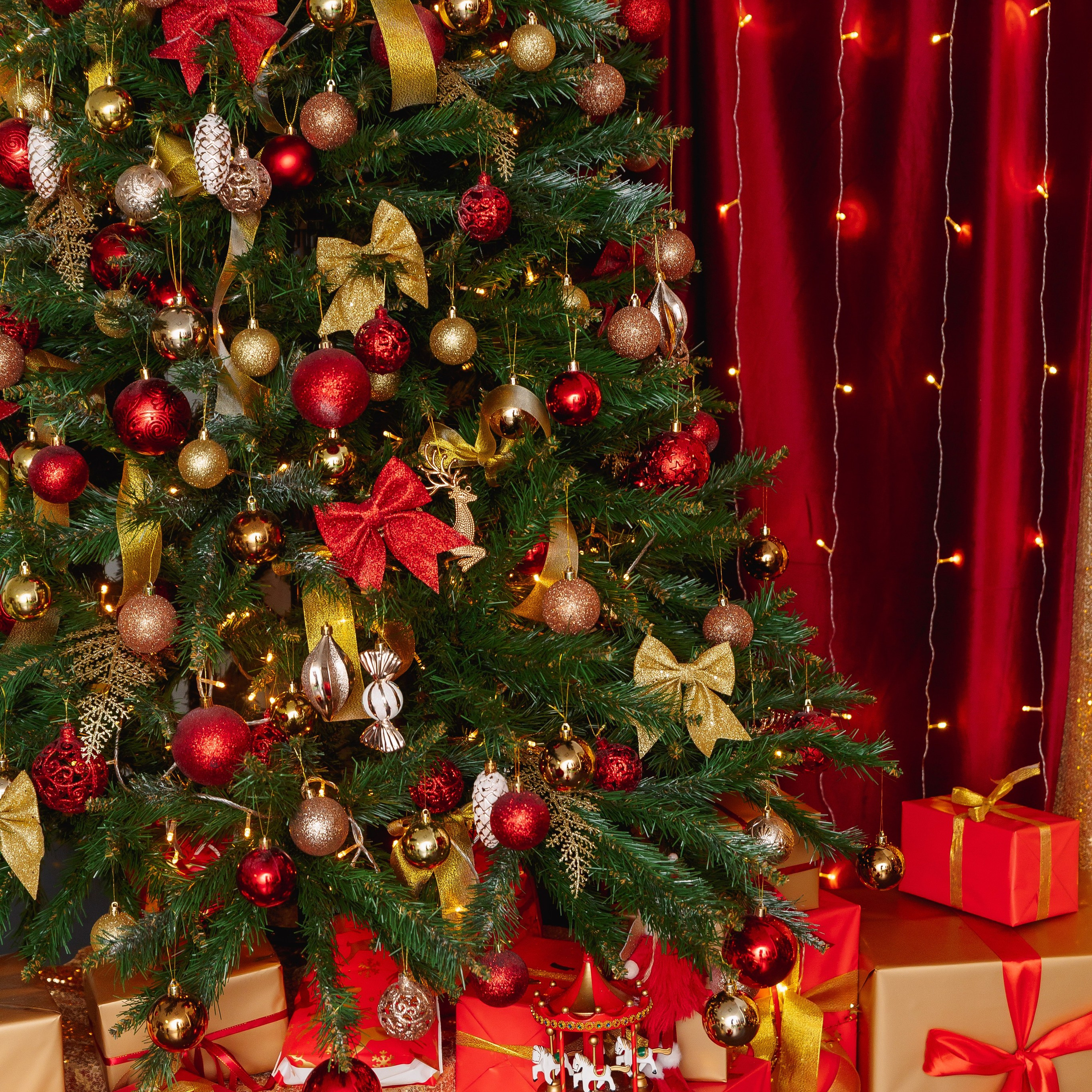 Отзывы. Фотограф в Кронштадте и Санкт-Петербурге Анастасия Коваленко