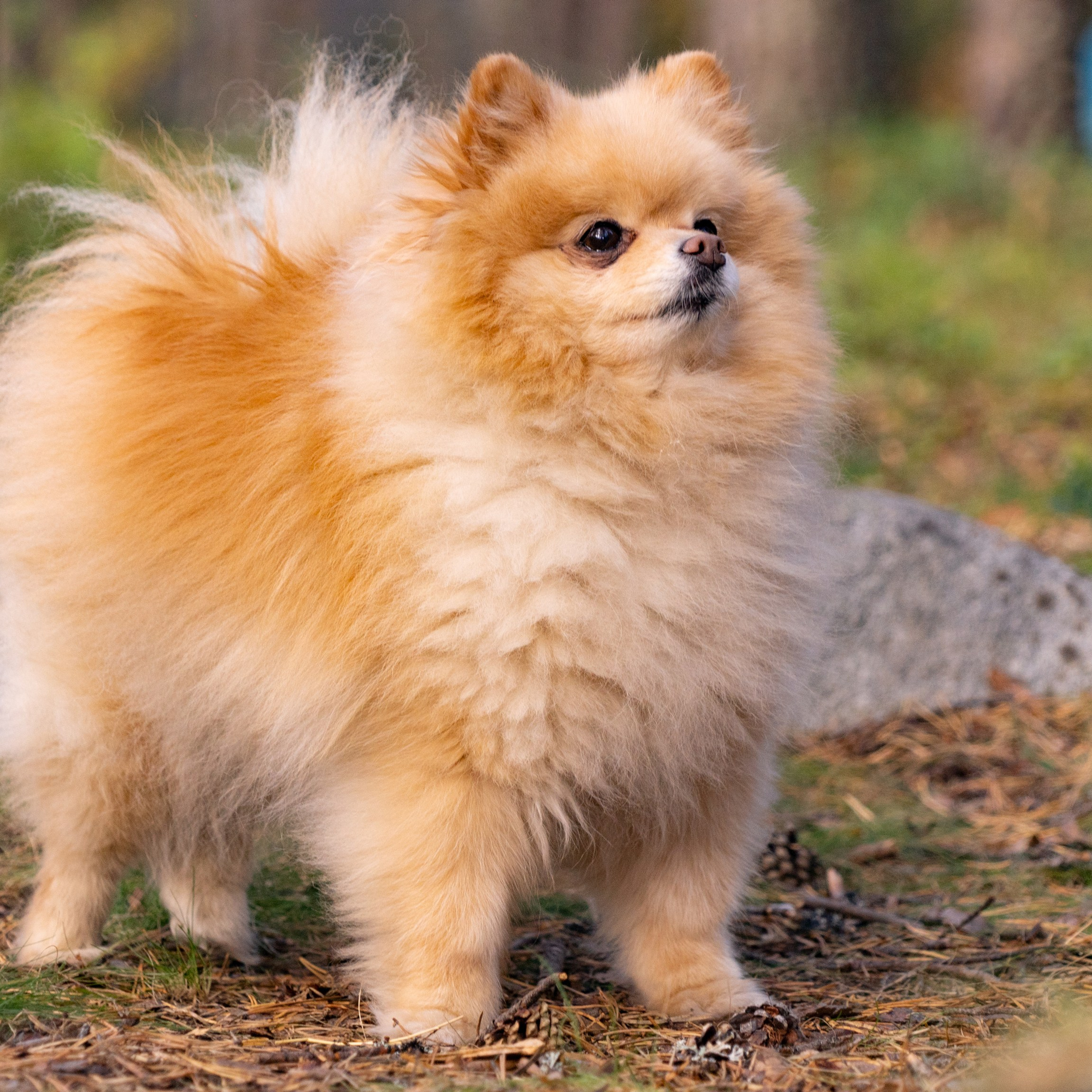 Мурманск 2025