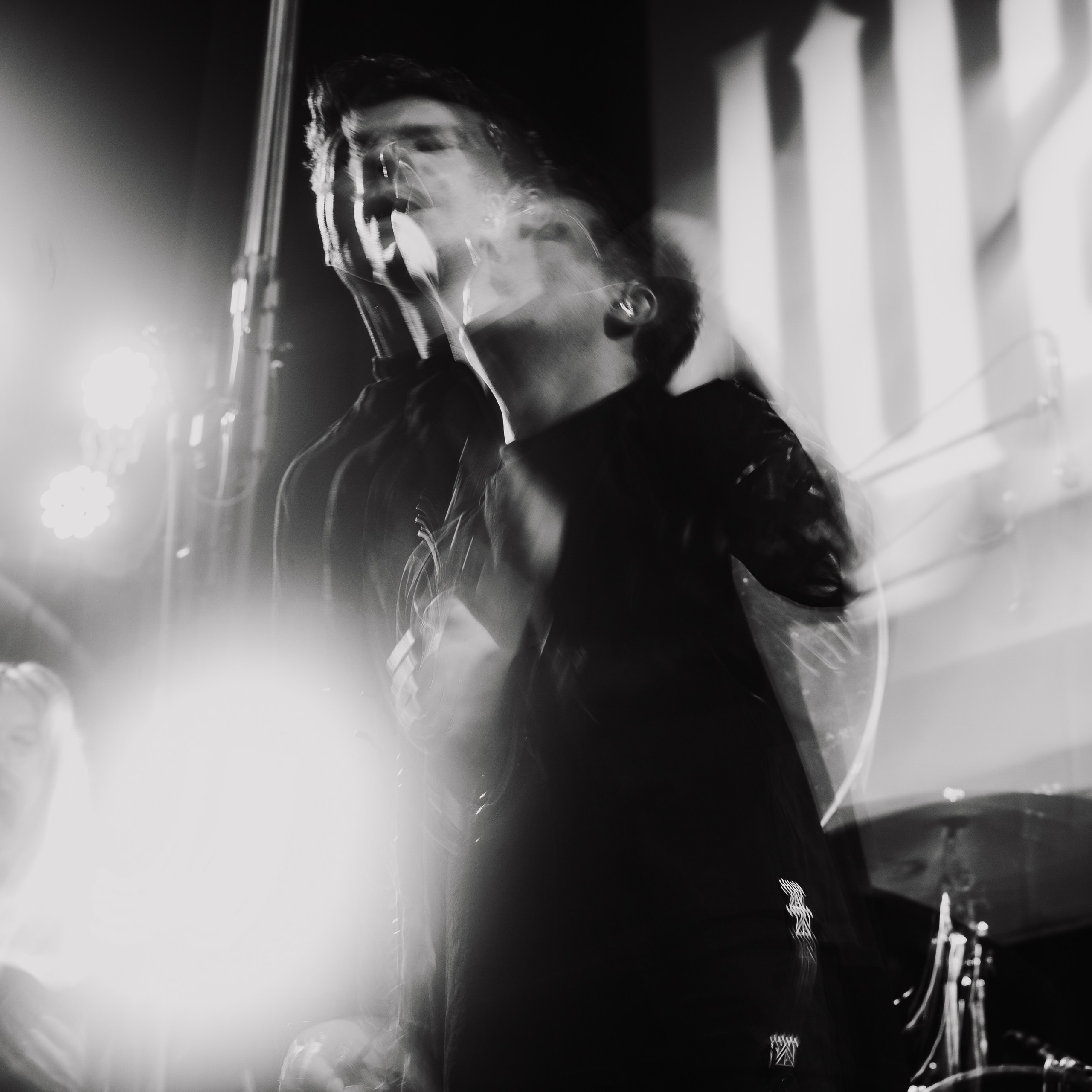 ШардаМ, 04.11.2025, Ласточка