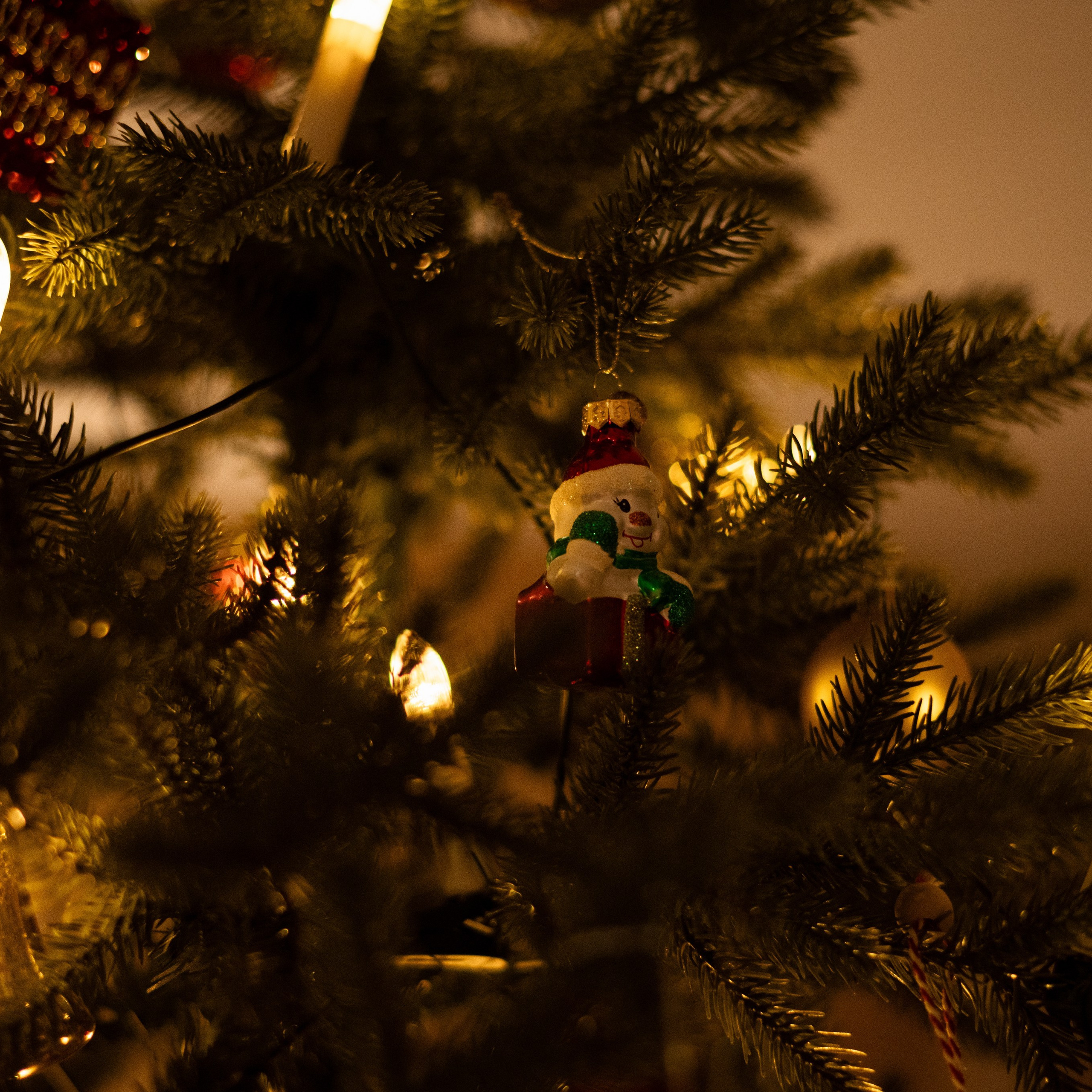 Отзывы. Свадебный и семейный фотограф Екатерина Ибрагимова Москва Астрахань