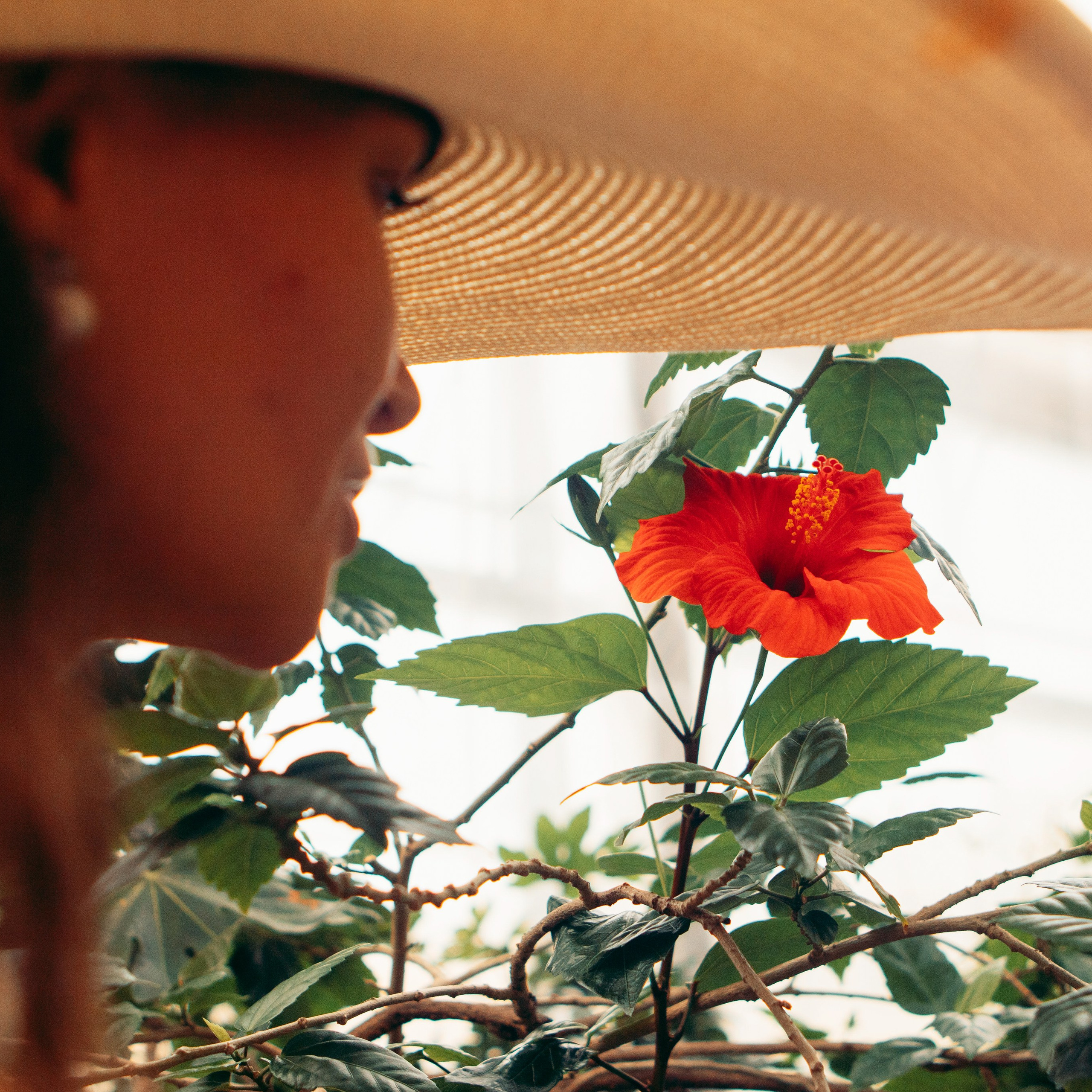 Фотодень в оранжерее Таврического Сада