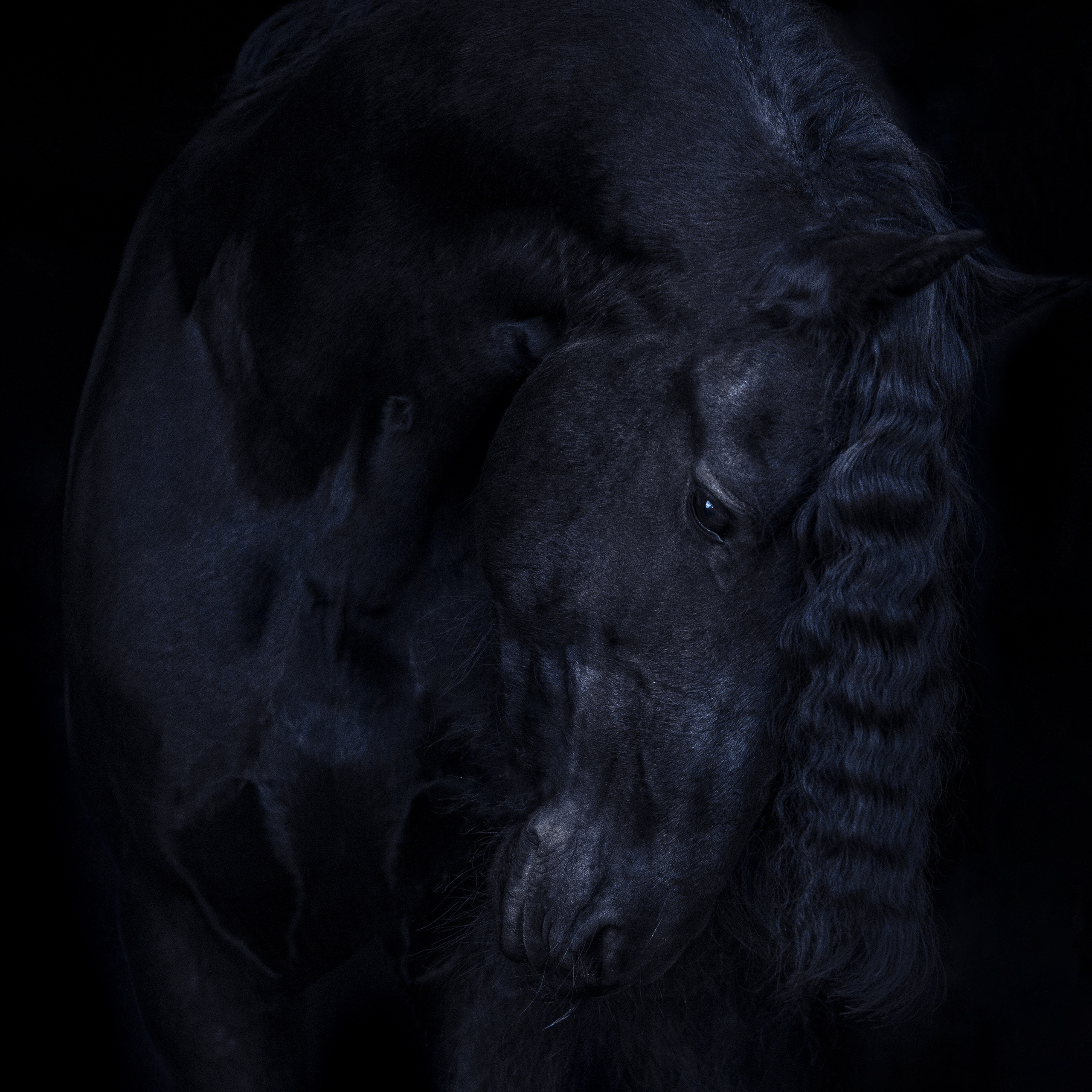 КСК «Королевские конюшни», МК Татьяны Немовой