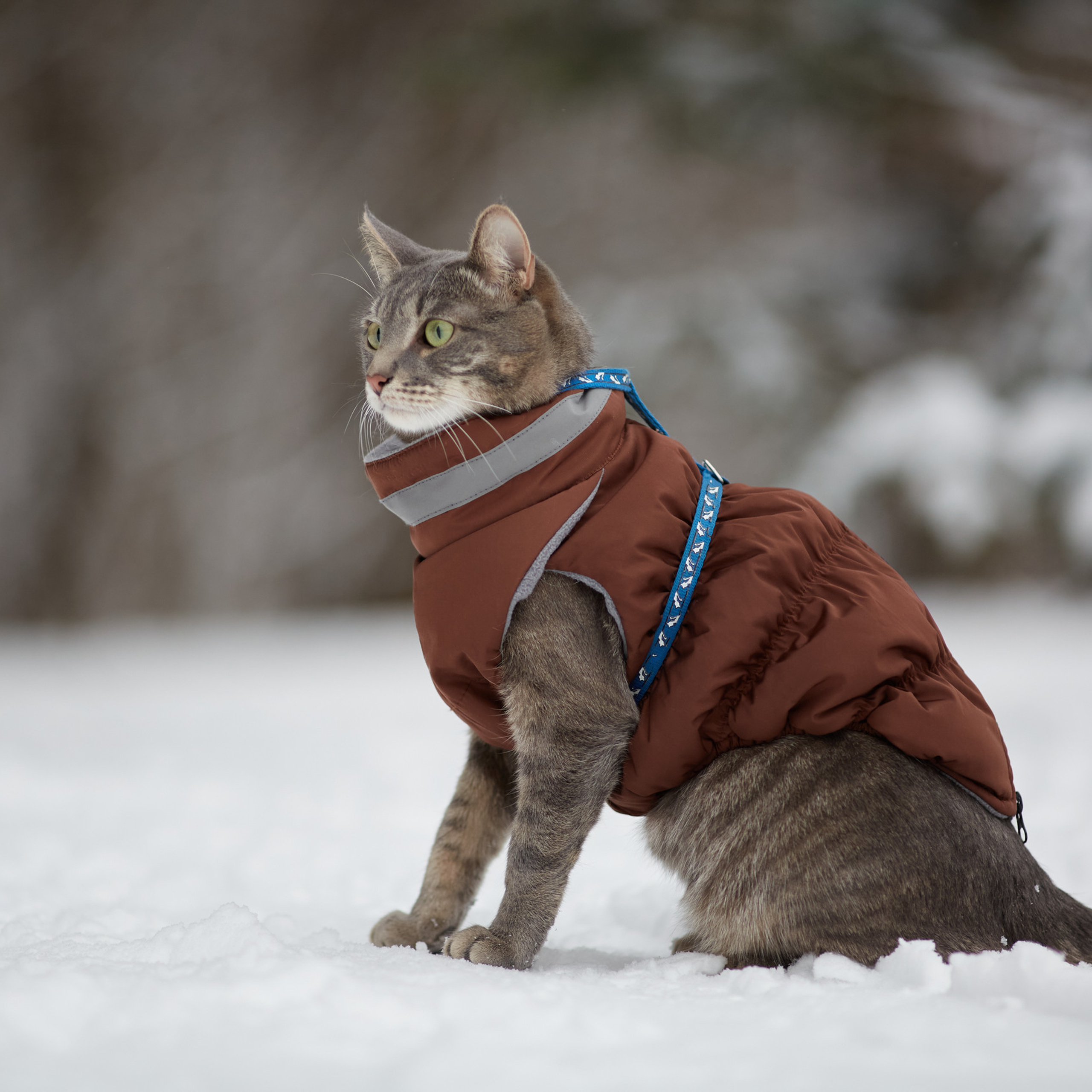 Отзывы. Фотограф-анималист Мартынова Анастасия