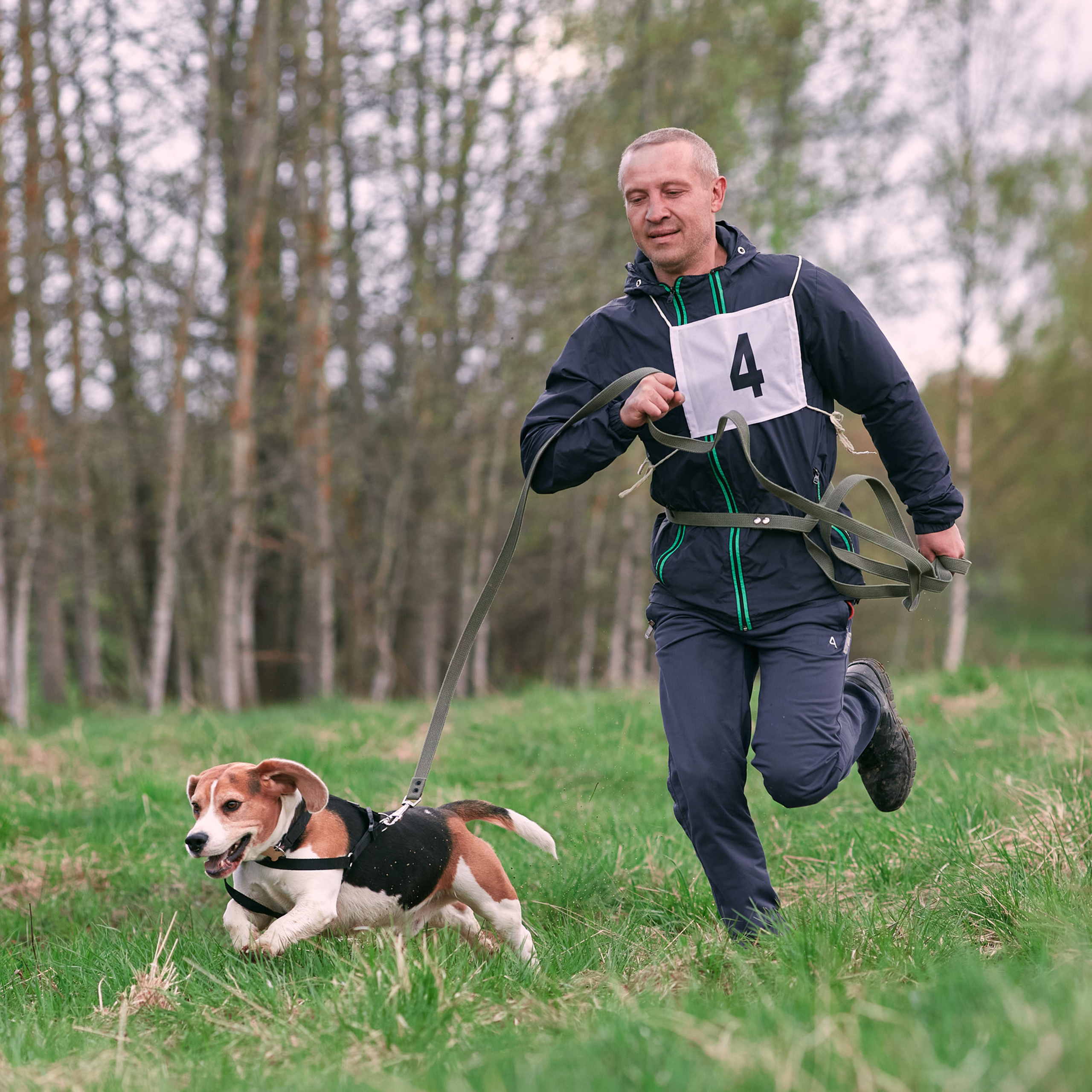 Отзывы. Фотограф-анималист Мартынова Анастасия
