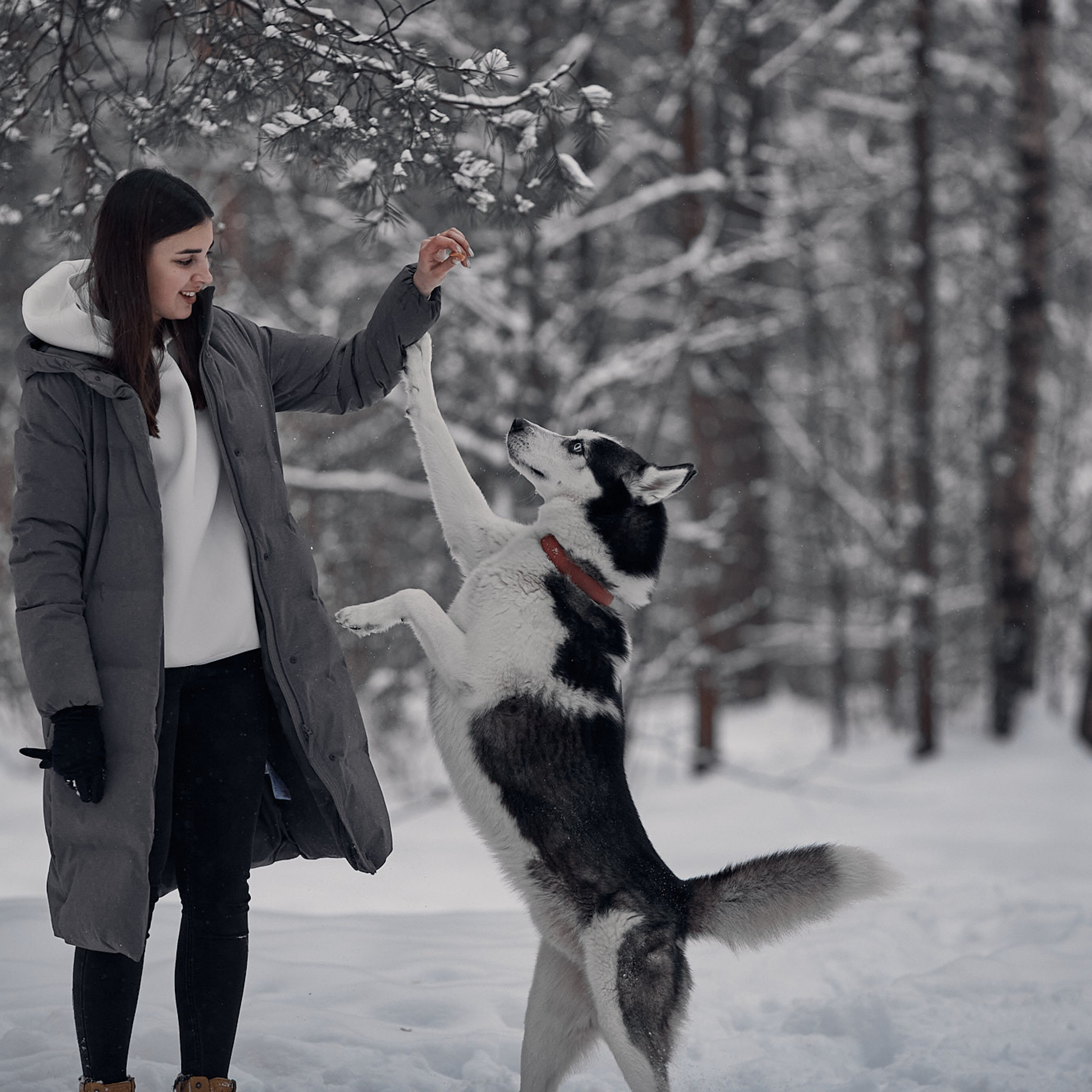 Соня и Вилли