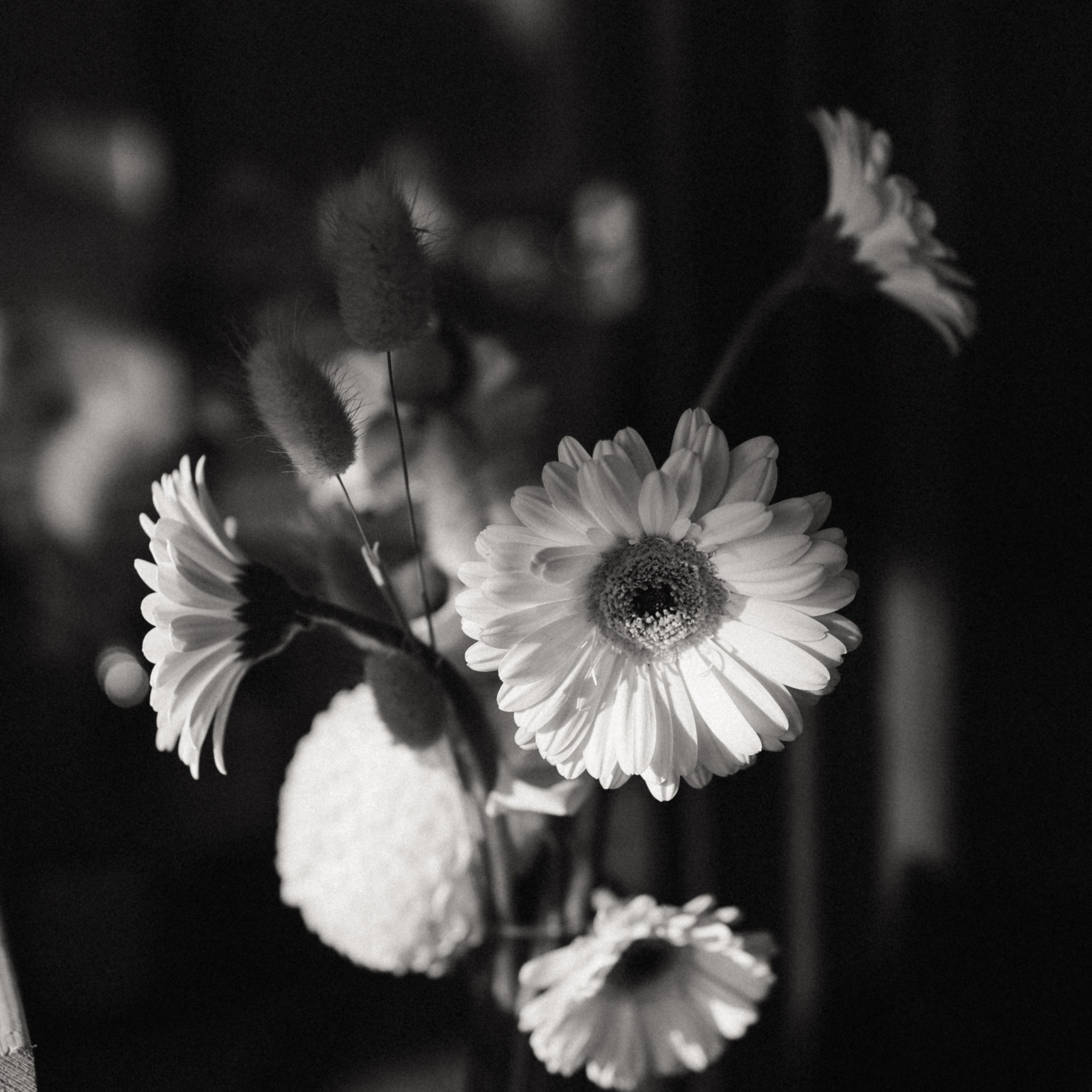 Diana & Maxim. KSUSHA LITVINA photography