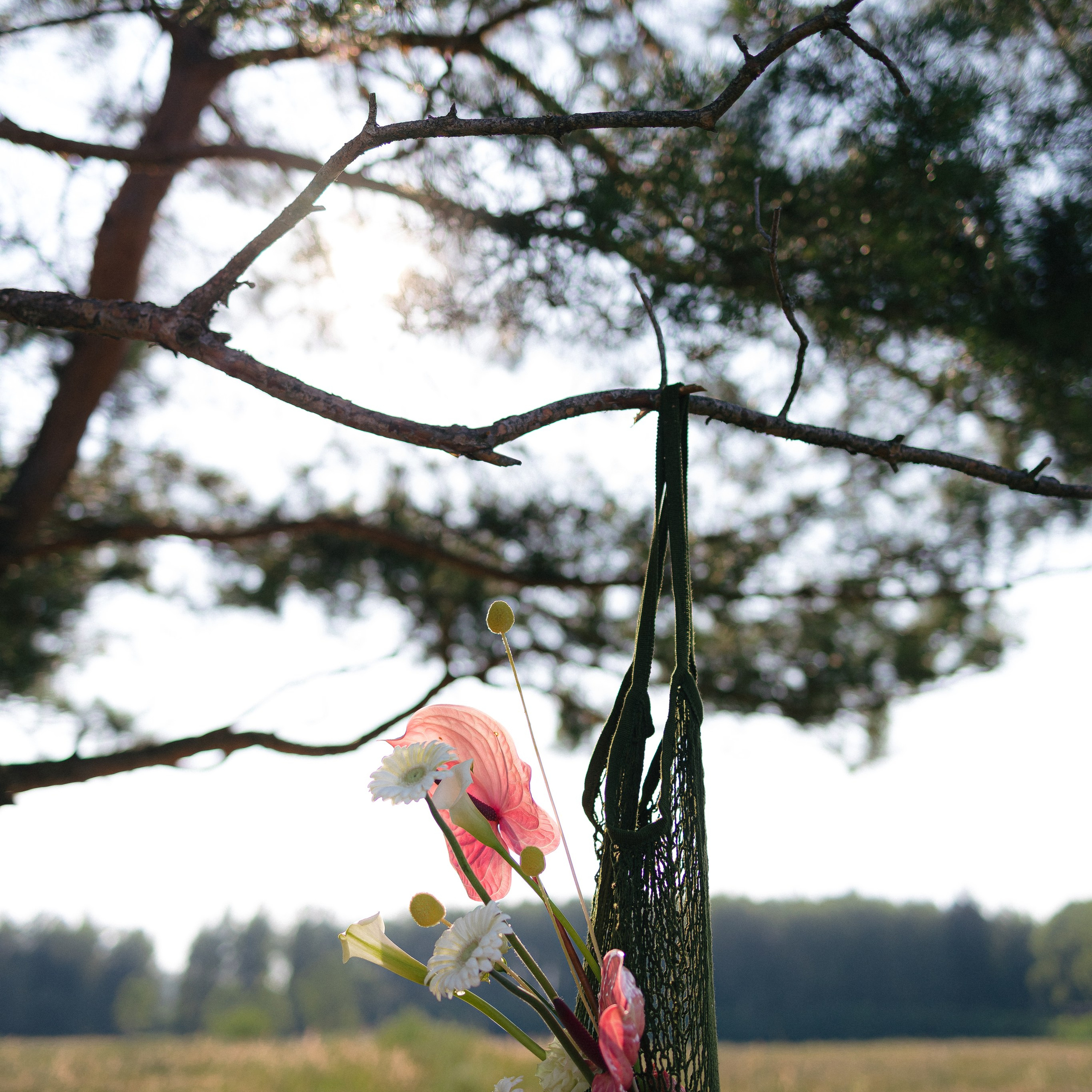 Vlada & Gregory. KSUSHA LITVINA photography