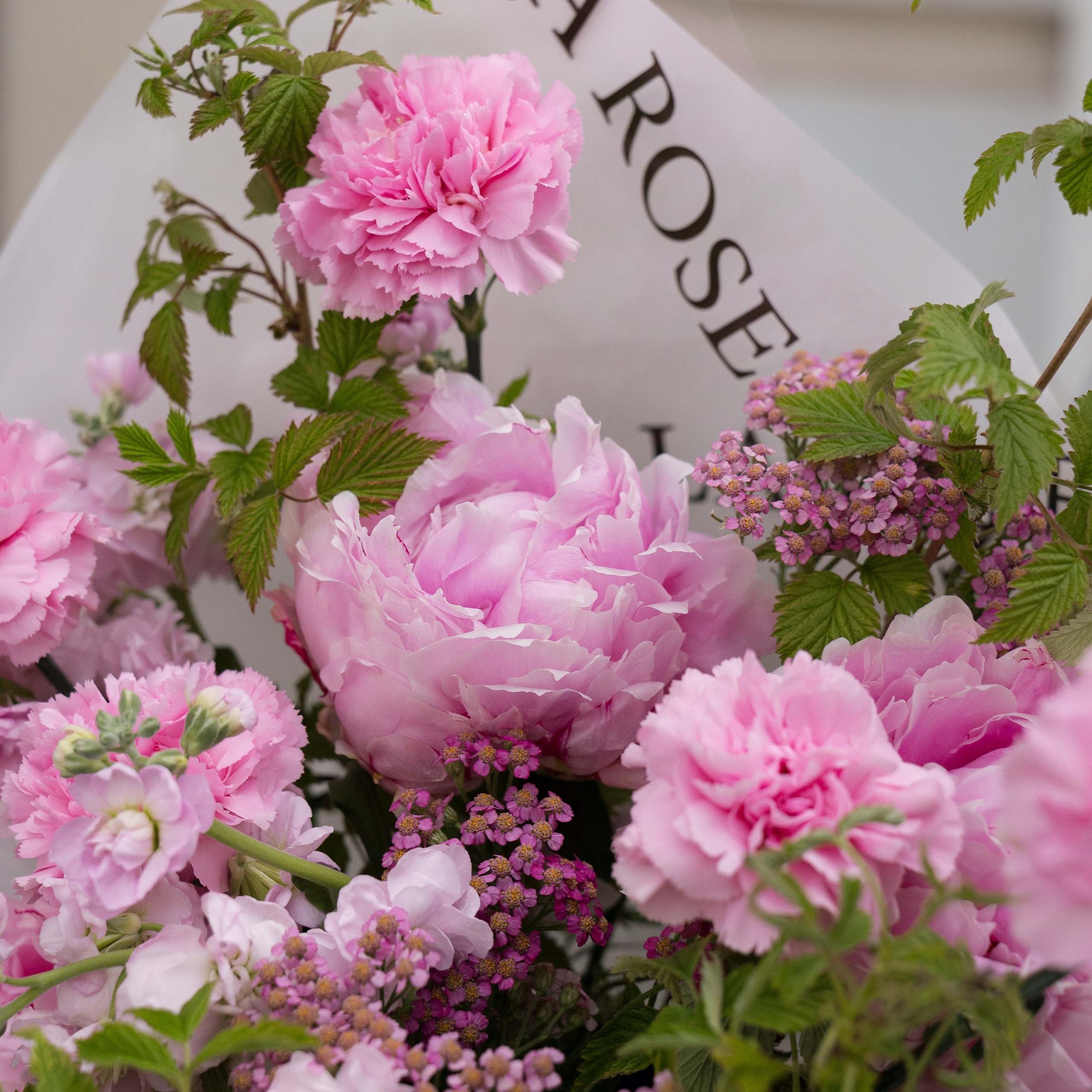 LA ROSE. KSUSHA LITVINA photography