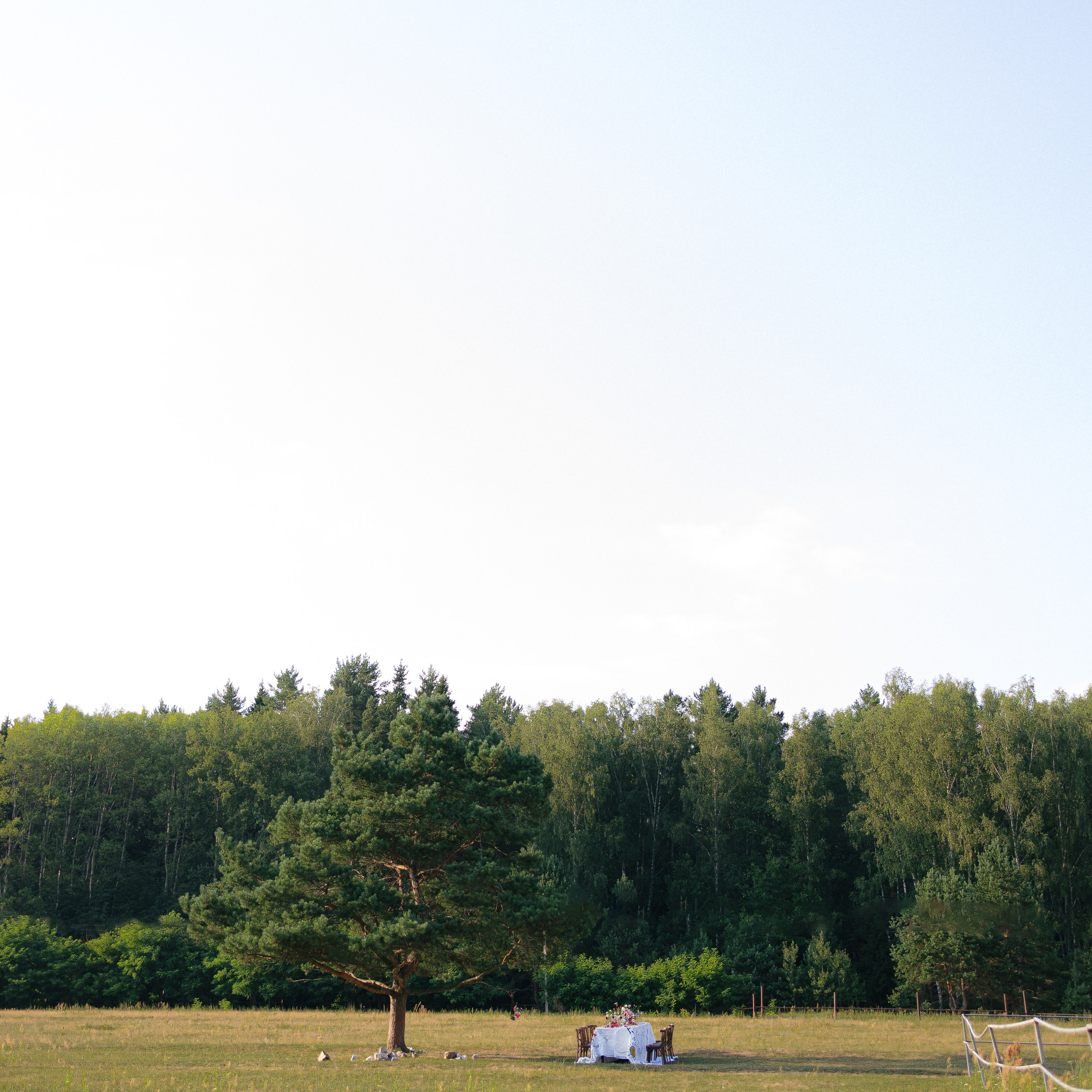 Vlada & Gregory. KSUSHA LITVINA photography