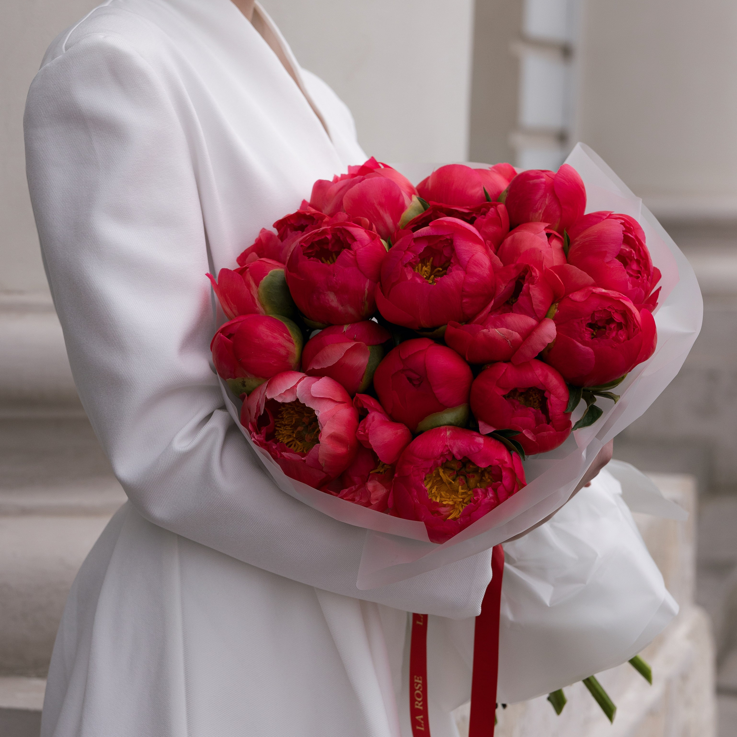 LA ROSE. KSUSHA LITVINA photography