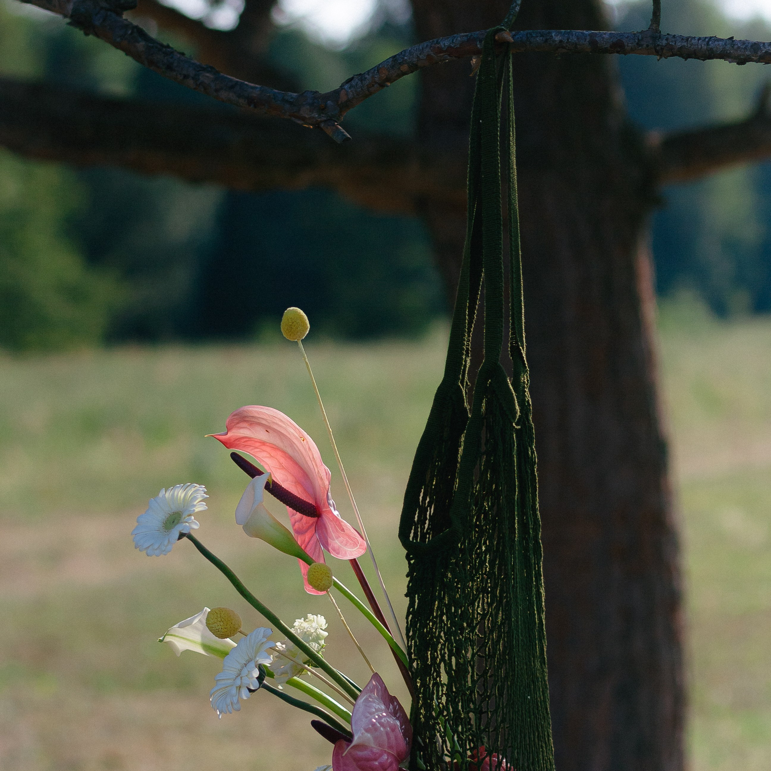 Vlada & Gregory. KSUSHA LITVINA photography