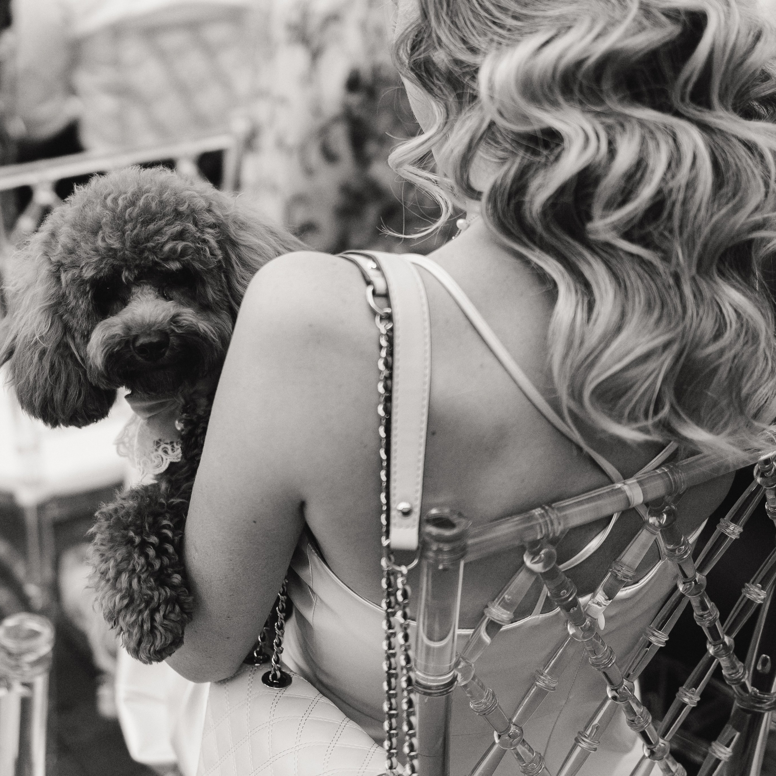 Daria & Kirill. KSUSHA LITVINA photography