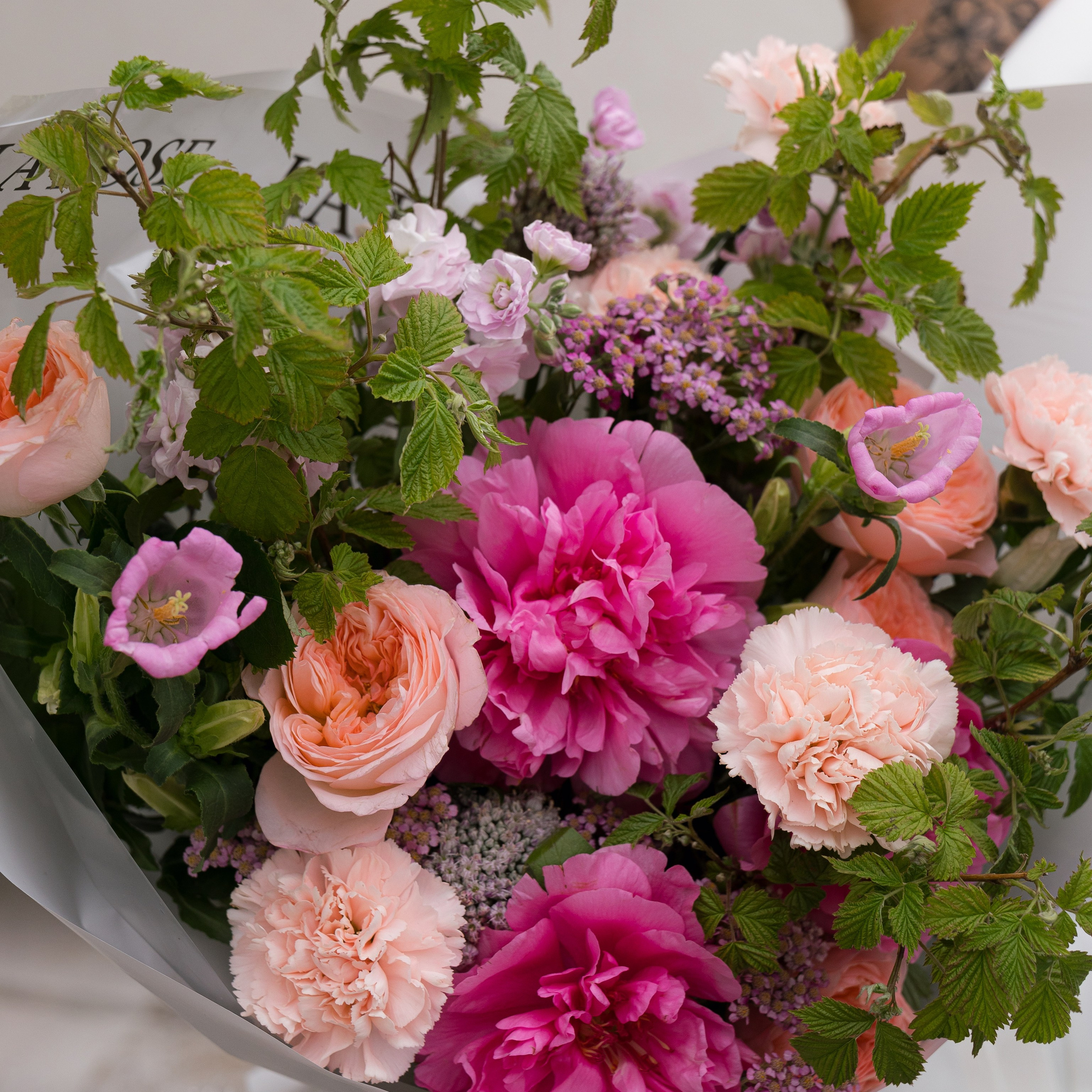 LA ROSE. KSUSHA LITVINA photography