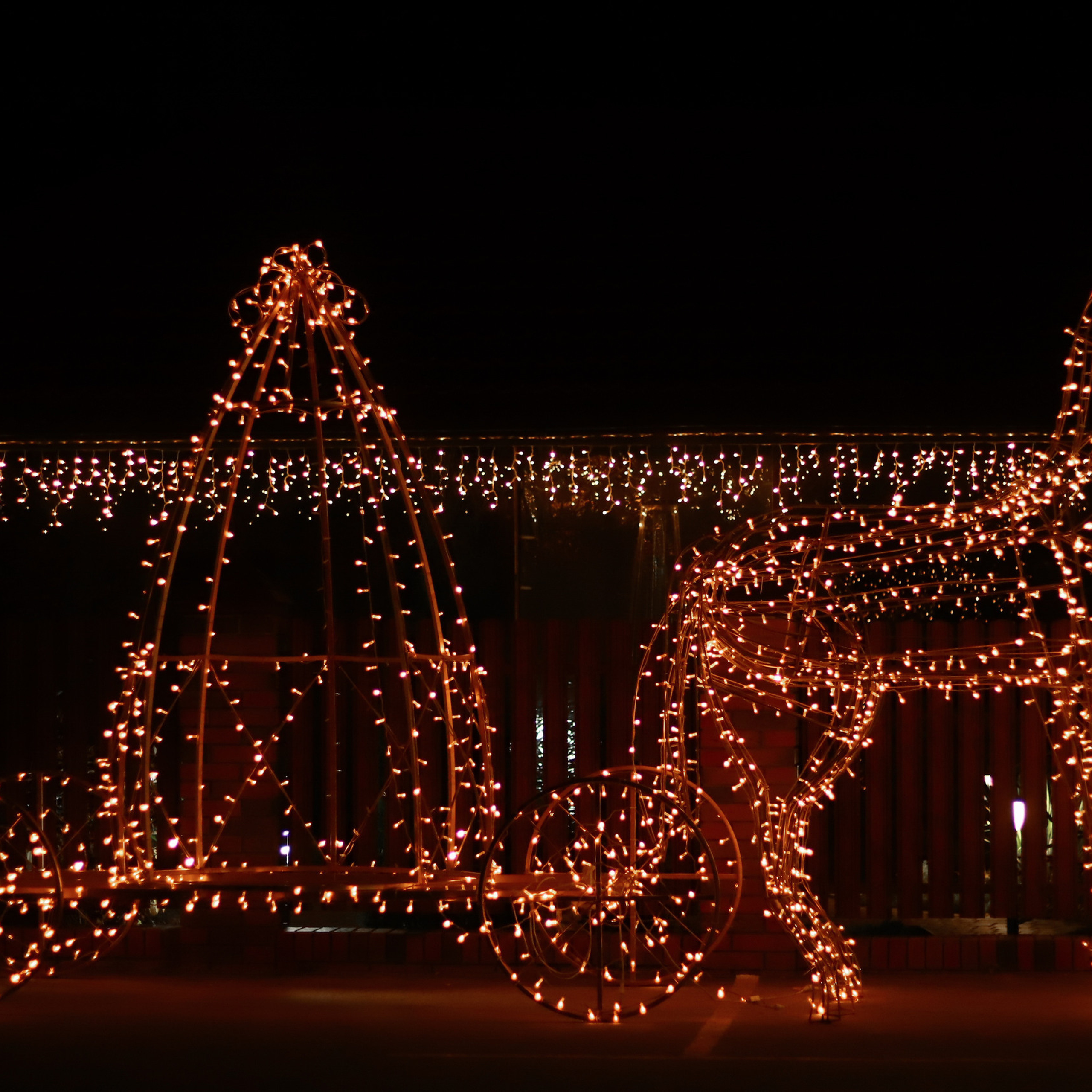 Отзывы. Портретный и свадебный фотограф Айгюн в городе Йошкар-Ола