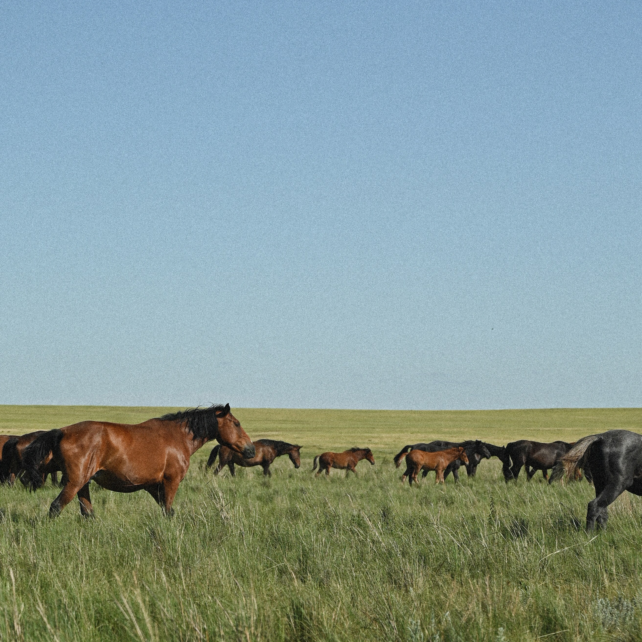 Отзывы. Портретный и репортажной фотограф Алексей Волков. Москва, Оренбург