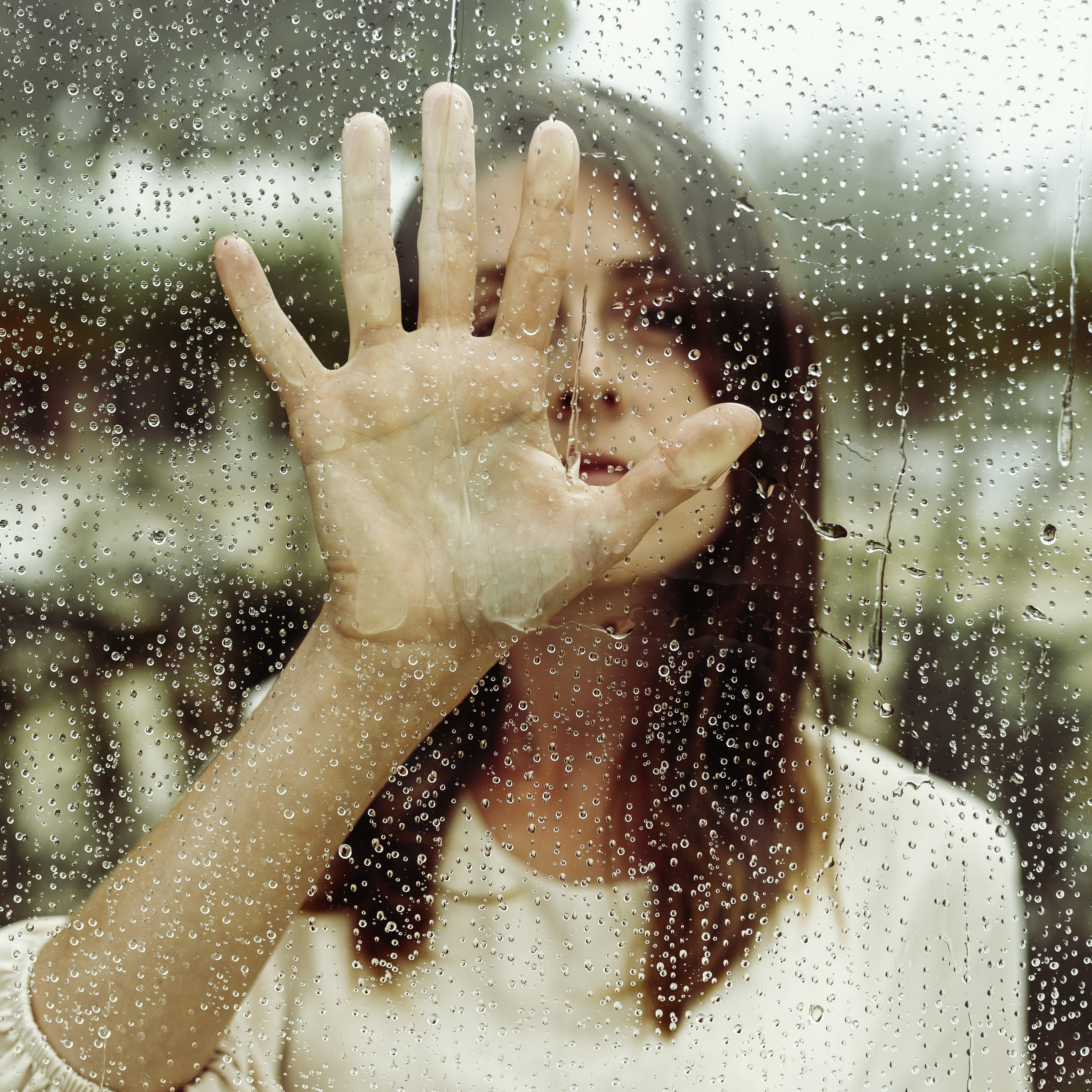 Под каплями летнего дождя