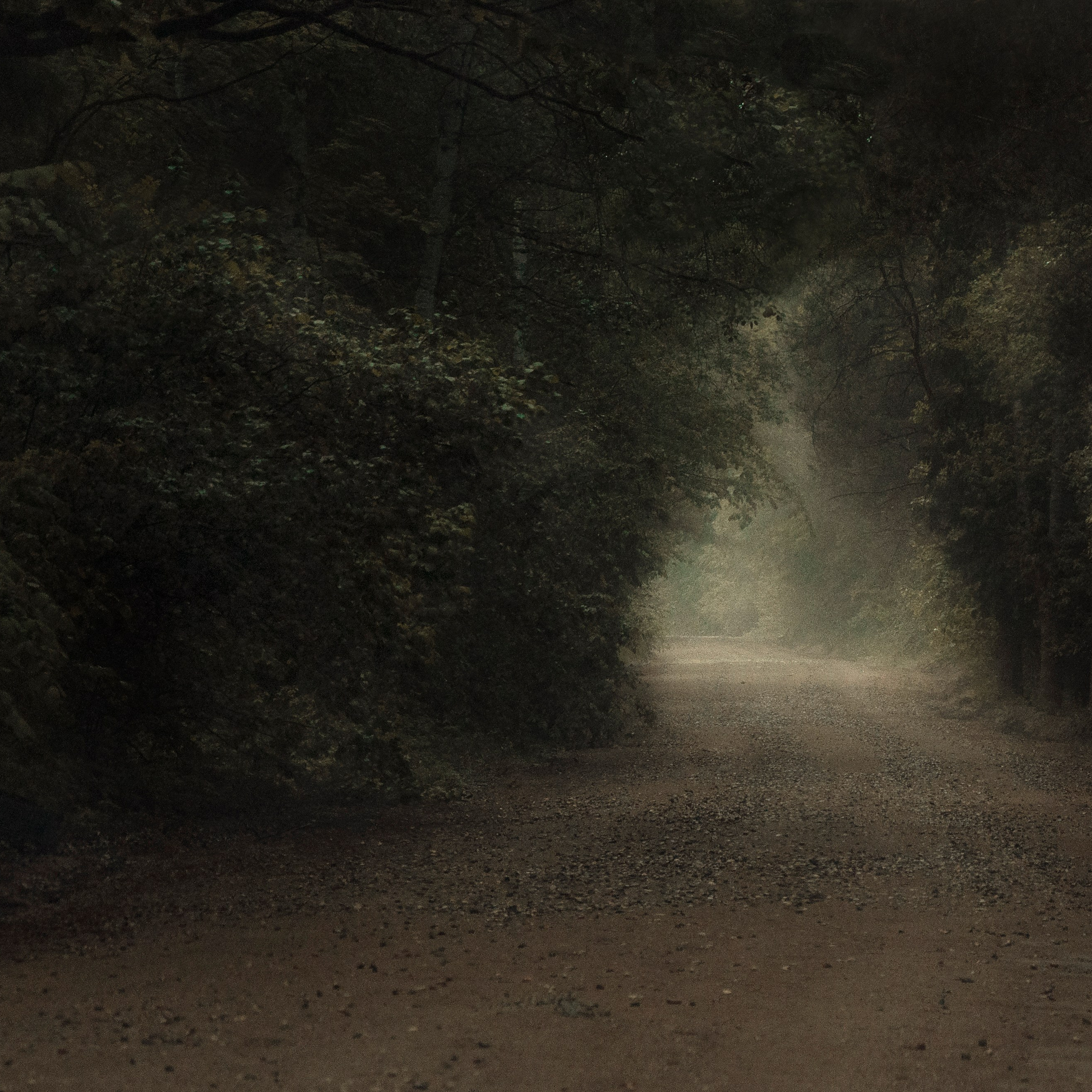 Пейзажи и архитектура