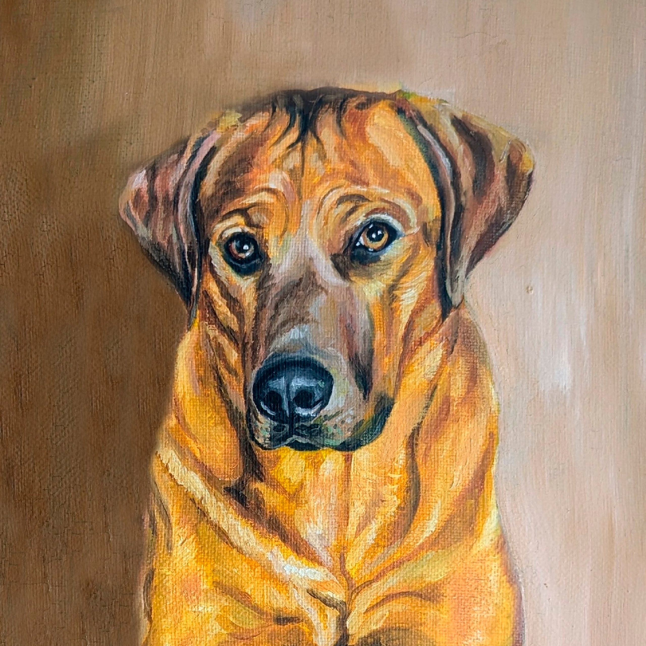 6 группа — гончие