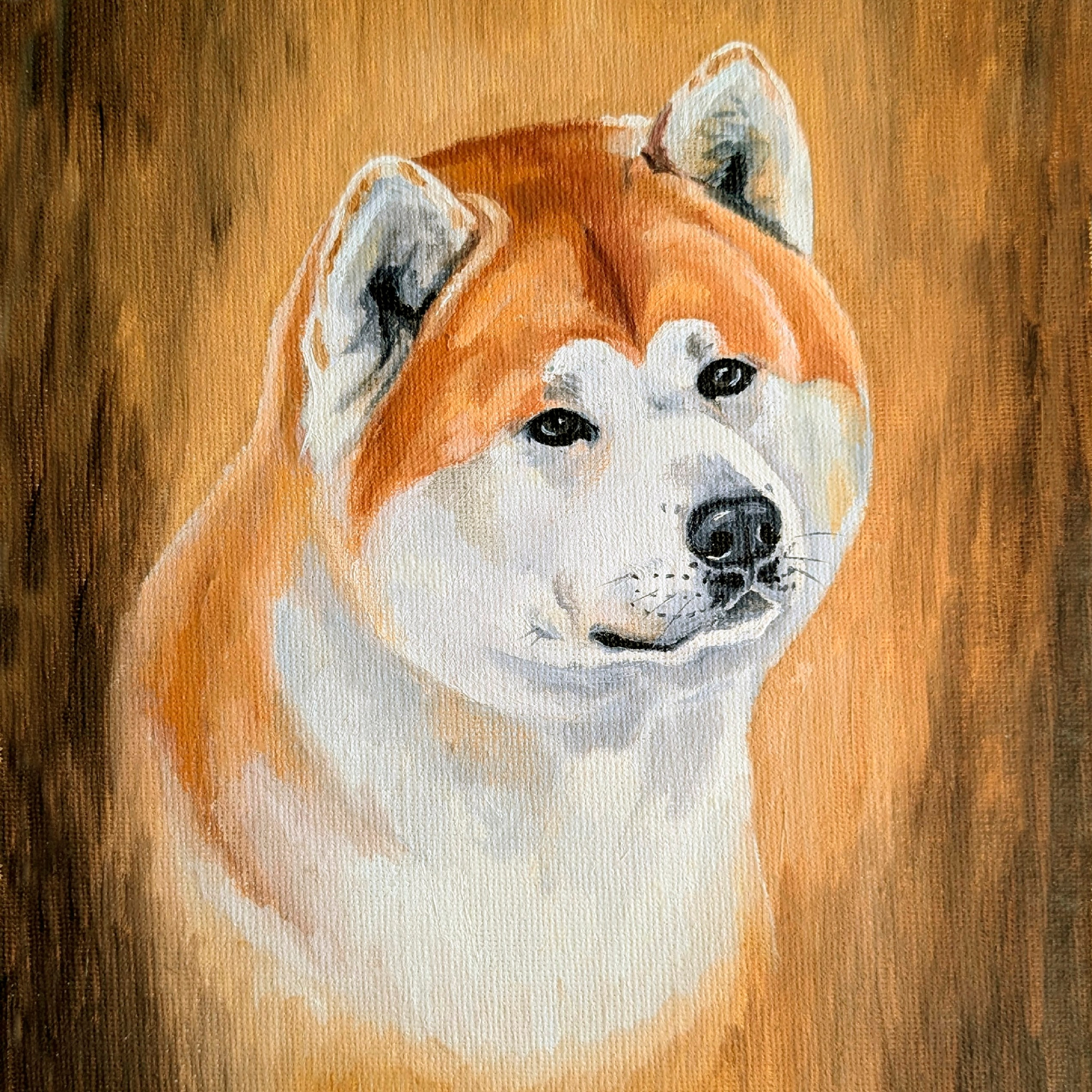 5 группа — шпицы и примитивные собаки.