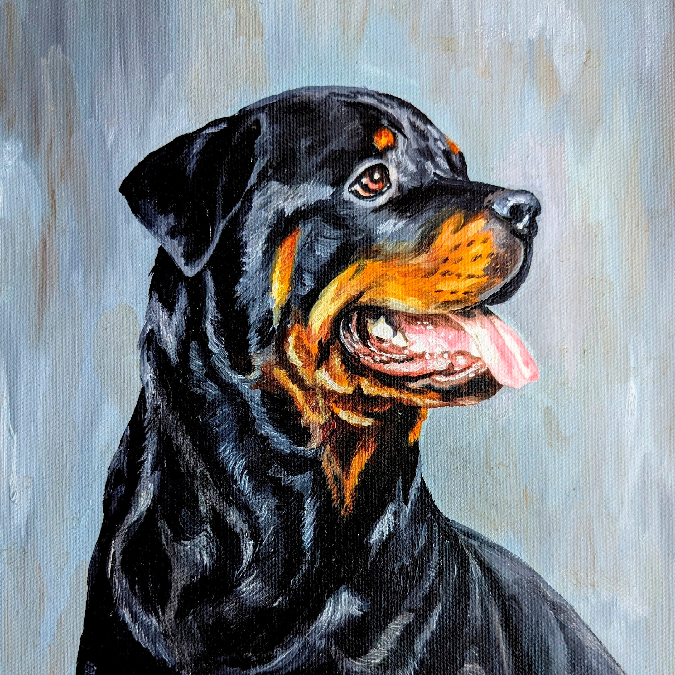 2 группа — пинчеры, шнауцеры, молоссы, швейцарские горные и скотогонные собаки