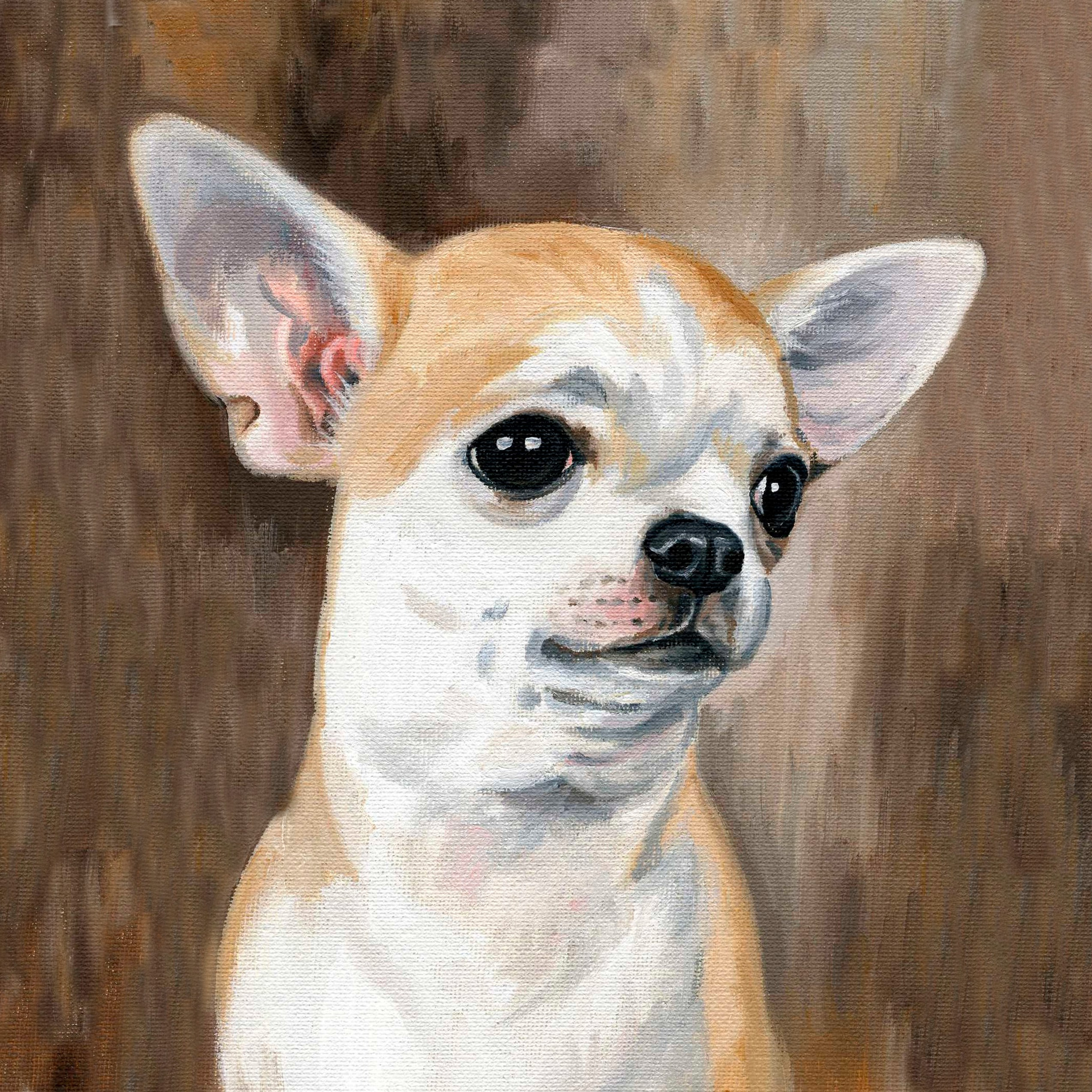 9 группа — декоративные и собаки-компаньоны