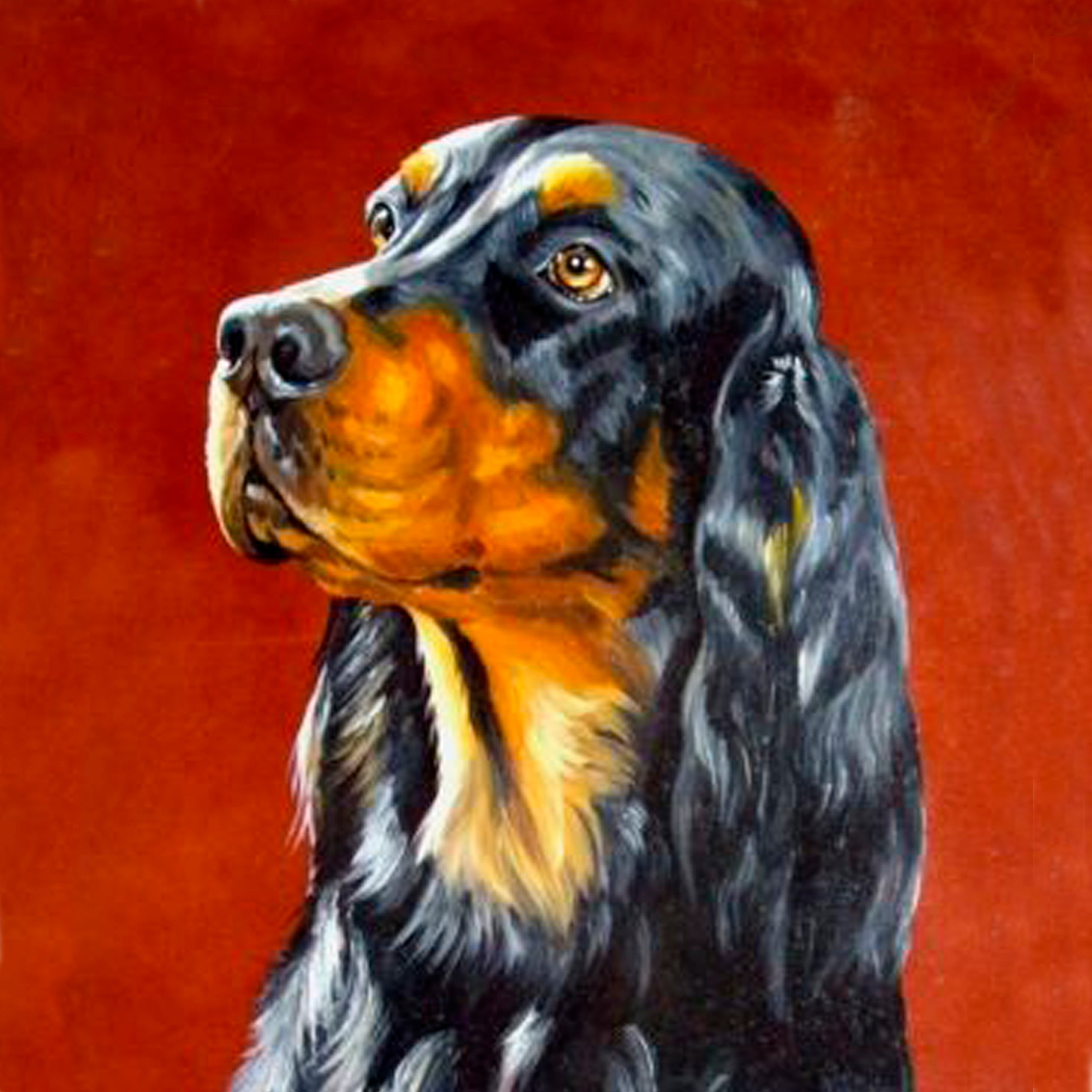 7 группа — легавые