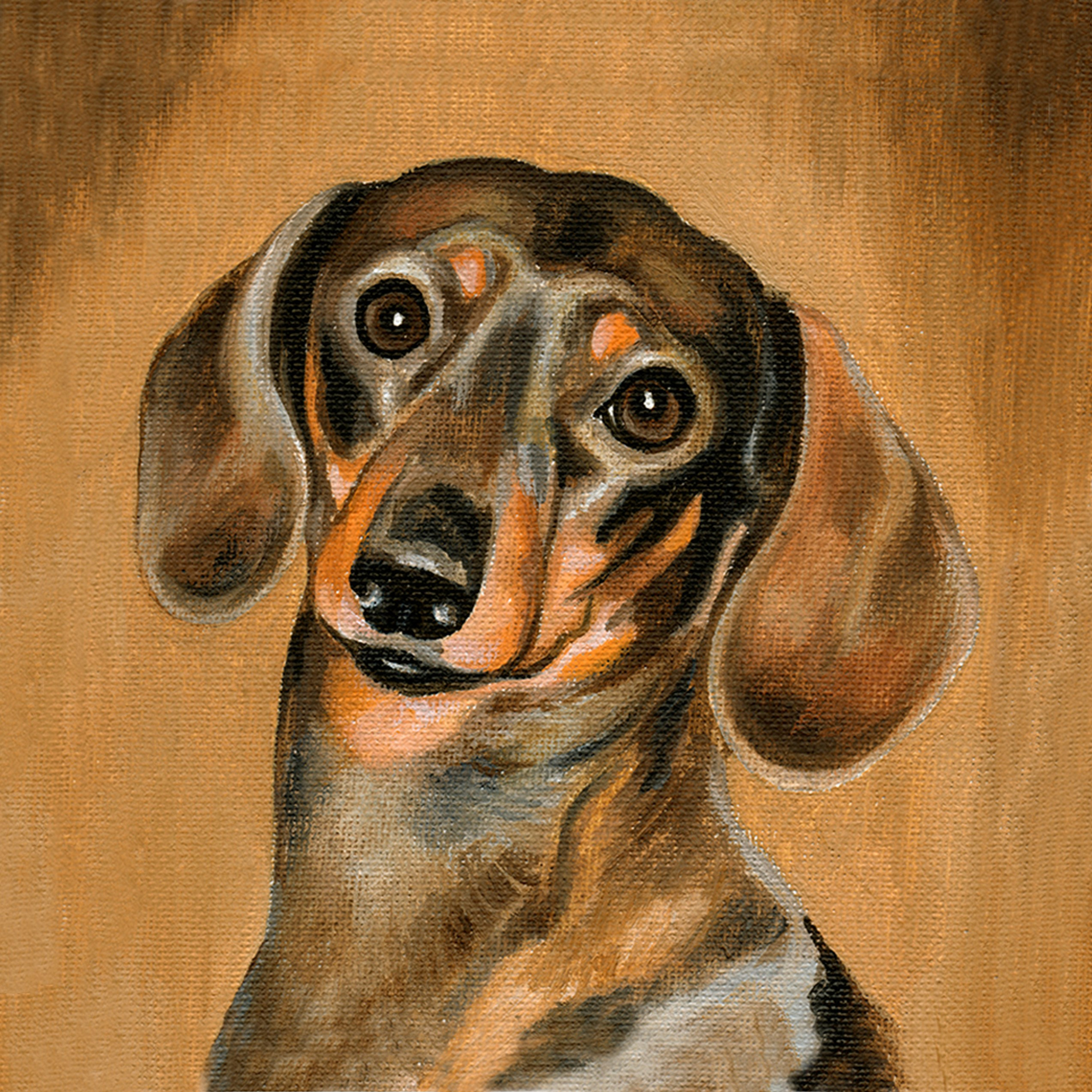 4 группа — таксы