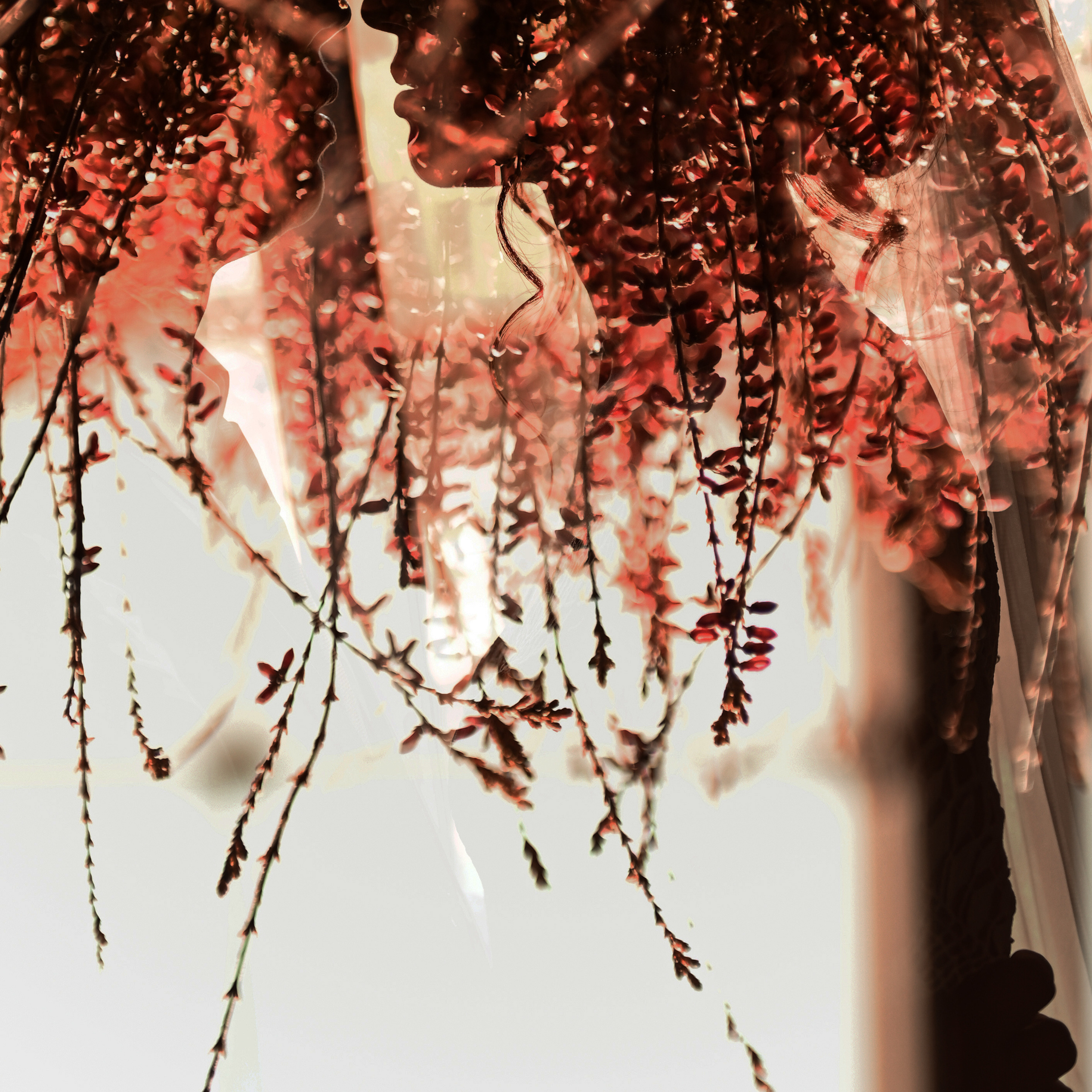 Отзывы. Свадебный, семейный, детский, контент фотограф в Омске Максим Ильин