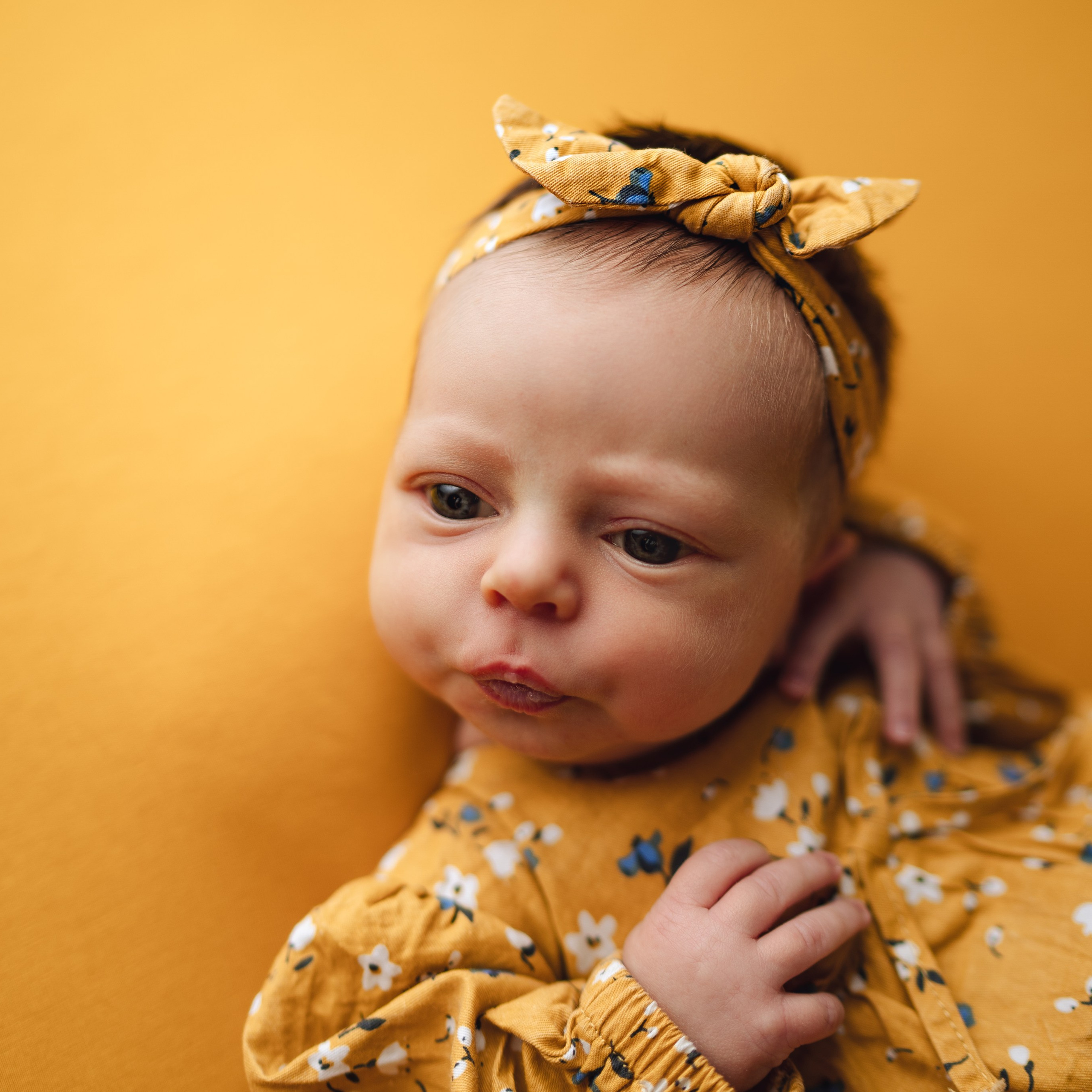 Отзывы клиентов о фотосессии новорожденных. Фотосессия новорожденных в Москве — newborn фотограф Елена Виниченко