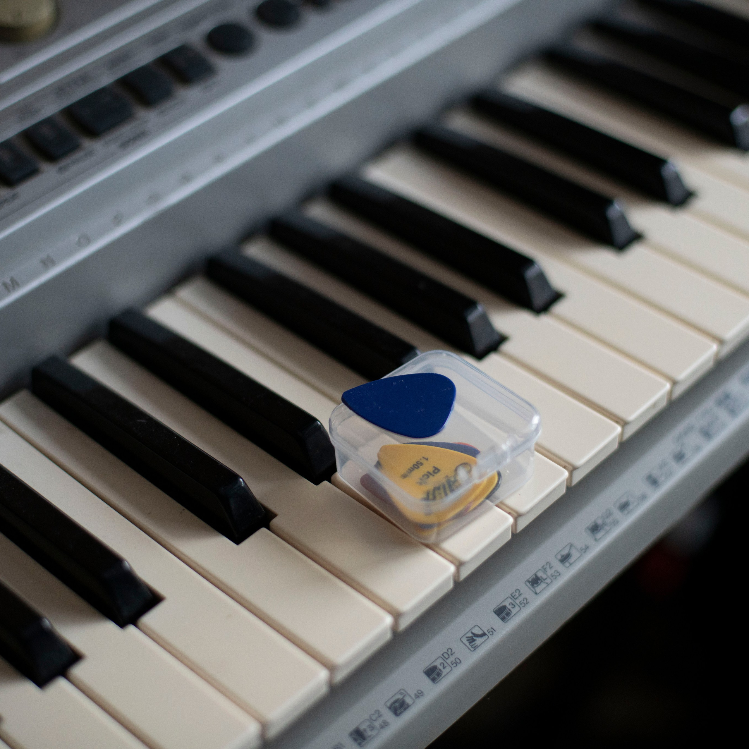 Фотограф и художница в Хабаровске Татьяна Трубникова