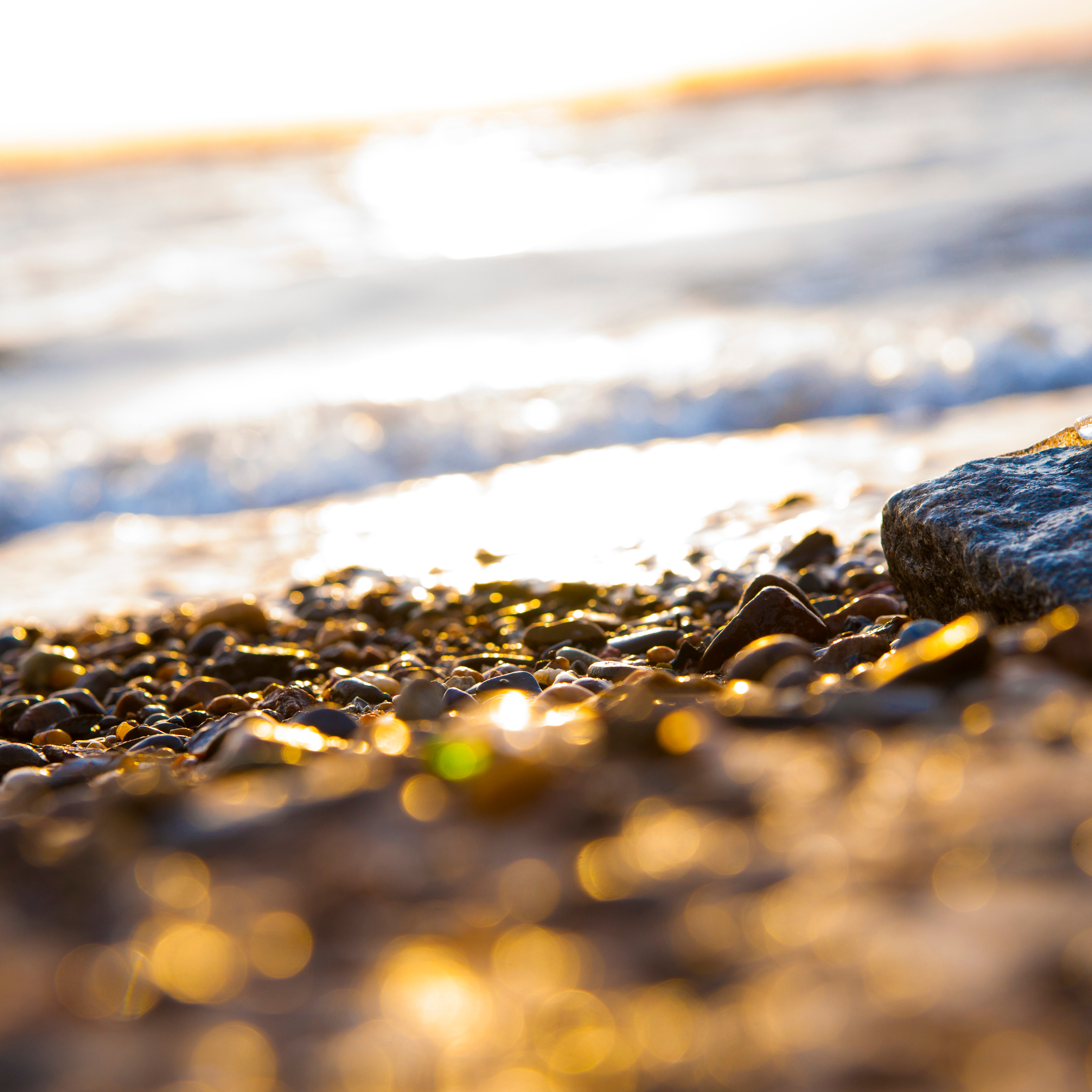 на фото  - природа Дальнего востока. Берег реки Амур. Фотограф в Хабаровске - Татьяна Трубникова