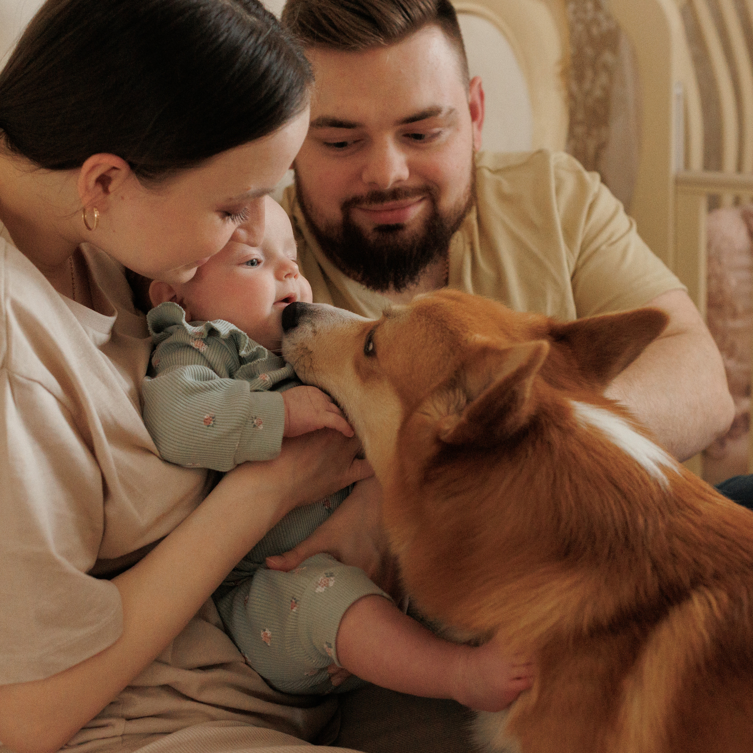 Вероника, мама, папа и Мирон. Фотограф Катя Курк семейная lifestyle фотография