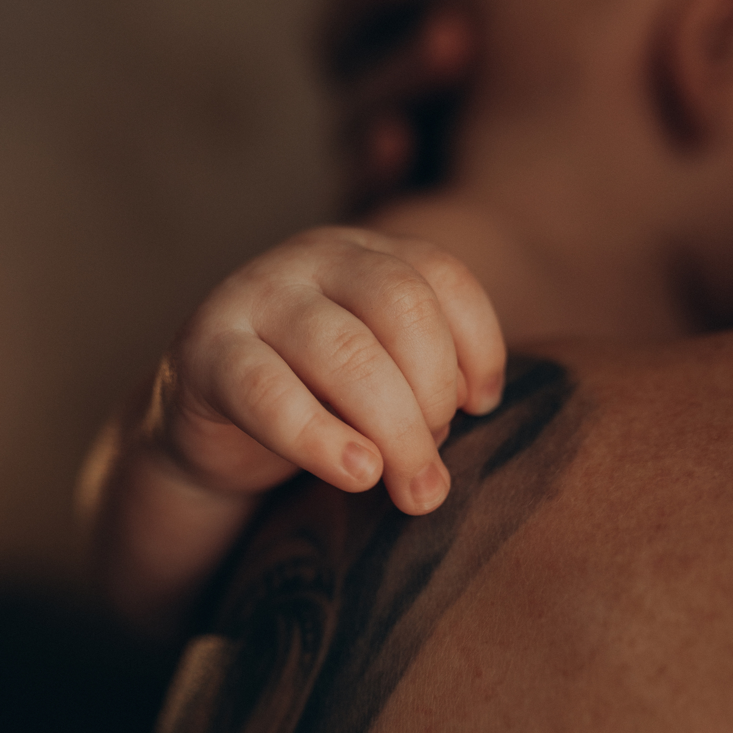 Настя, Саша и Ванюша. Фотограф Катя Курк семейная lifestyle фотография