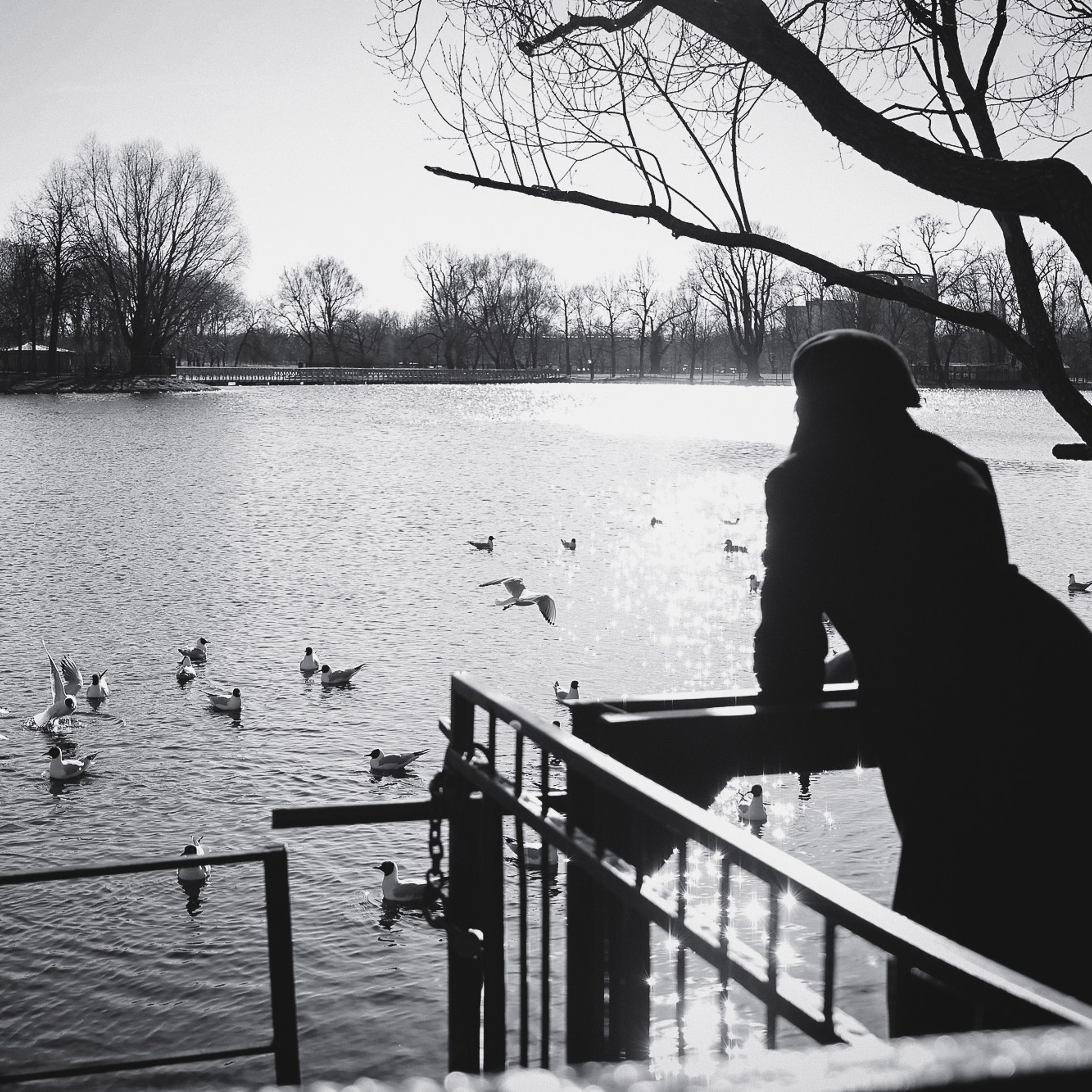 Фотограф портретист в Санкт Петербурге Дроздова Алла