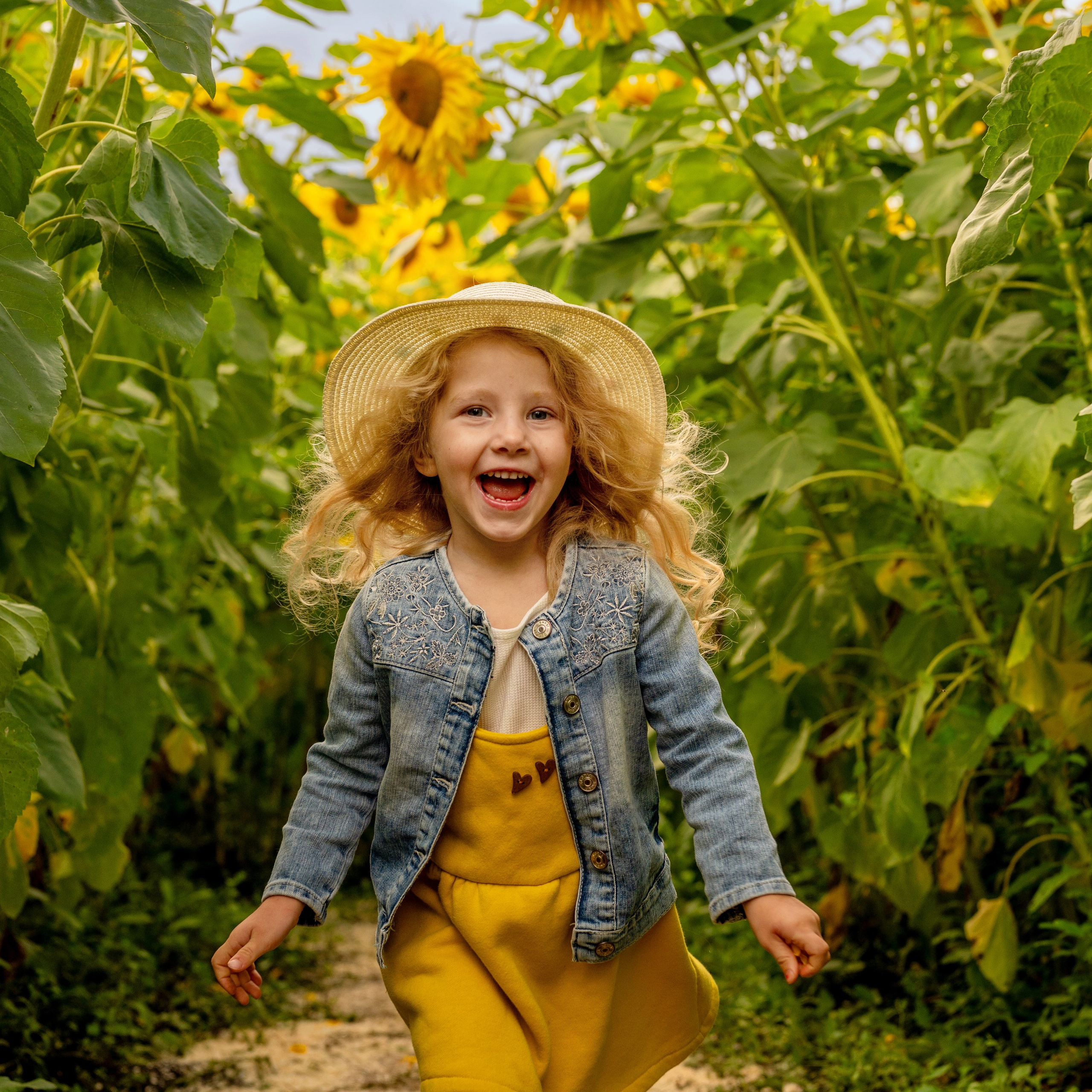 Подсолнухи