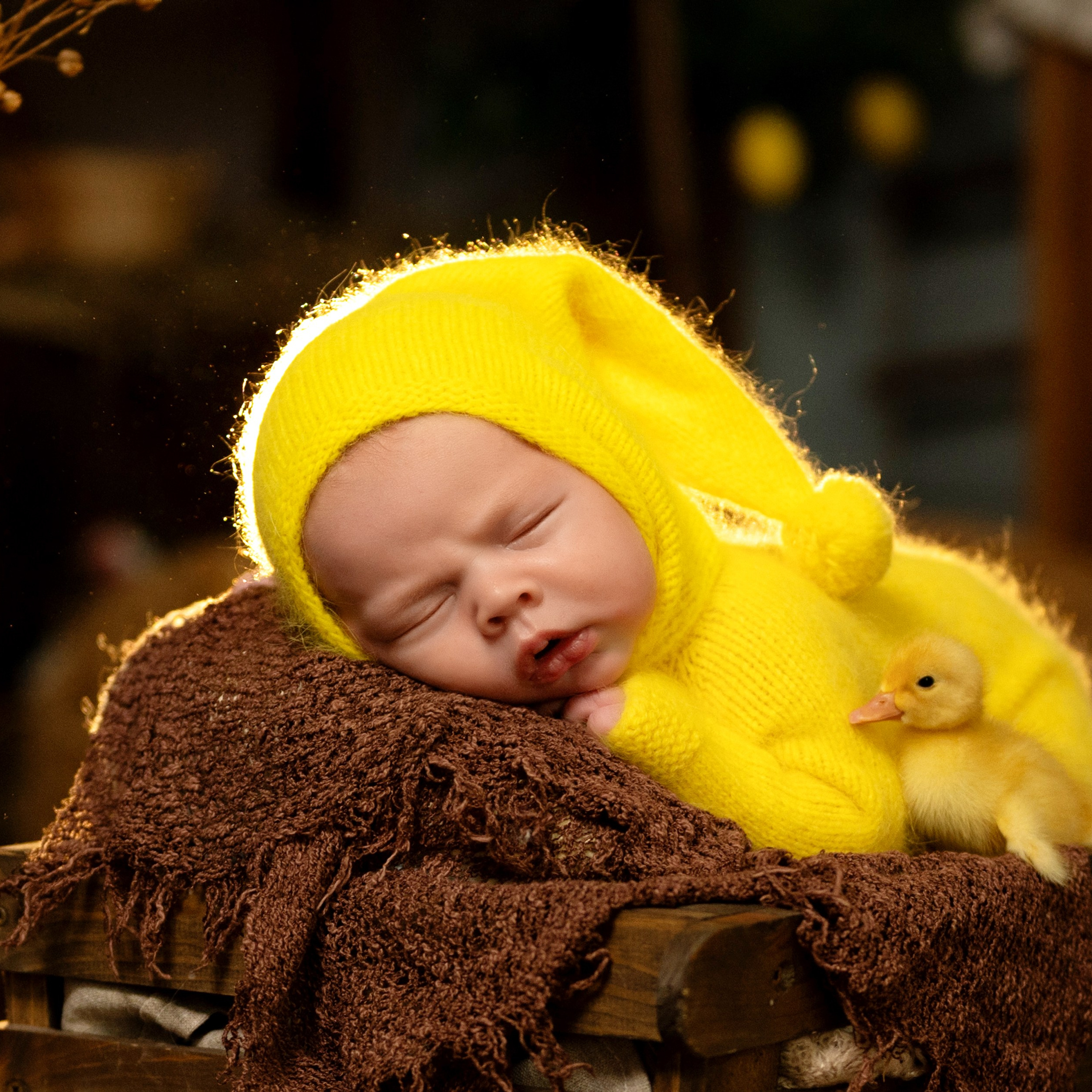 Павлуша и утята