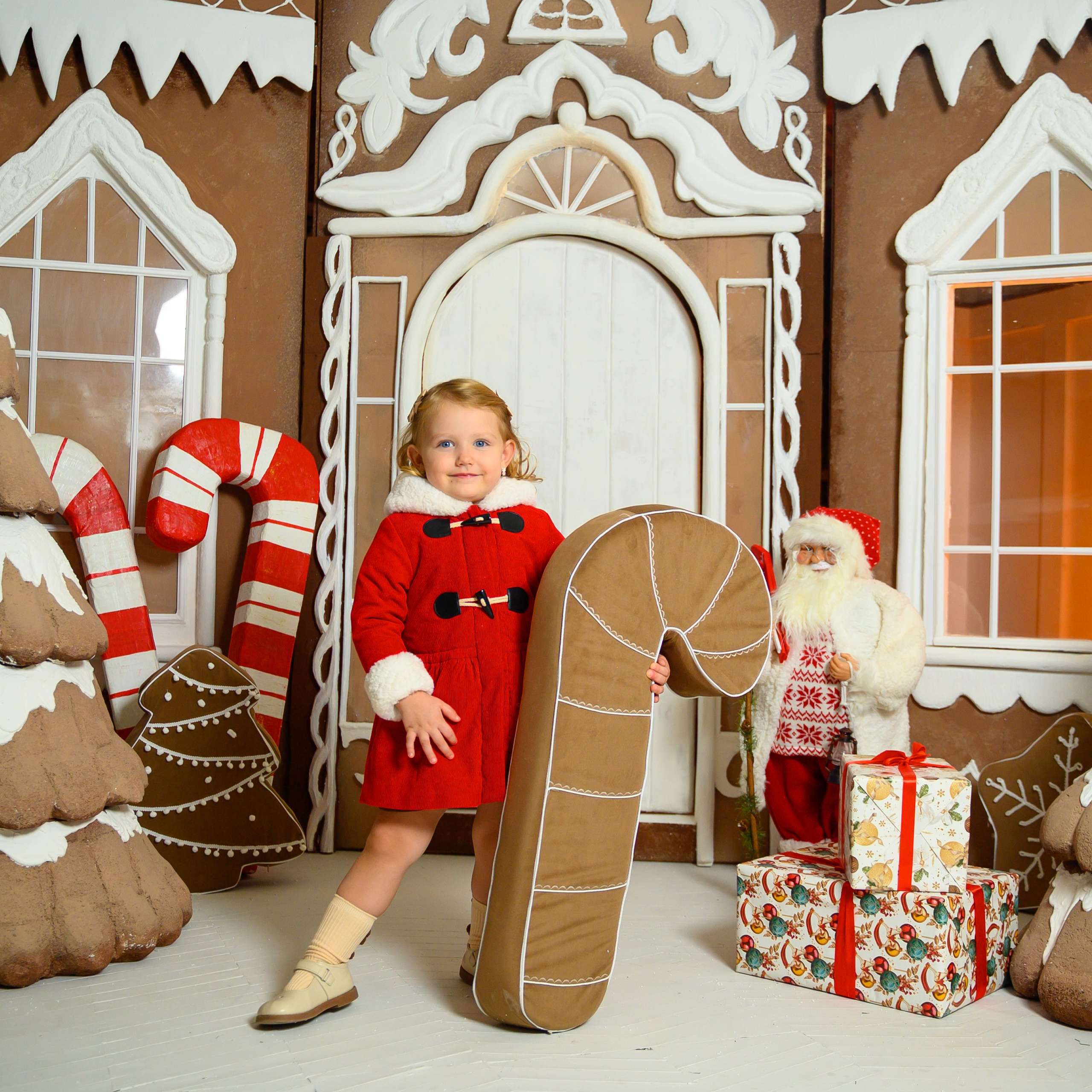 Пряничный Новый год 2025-26