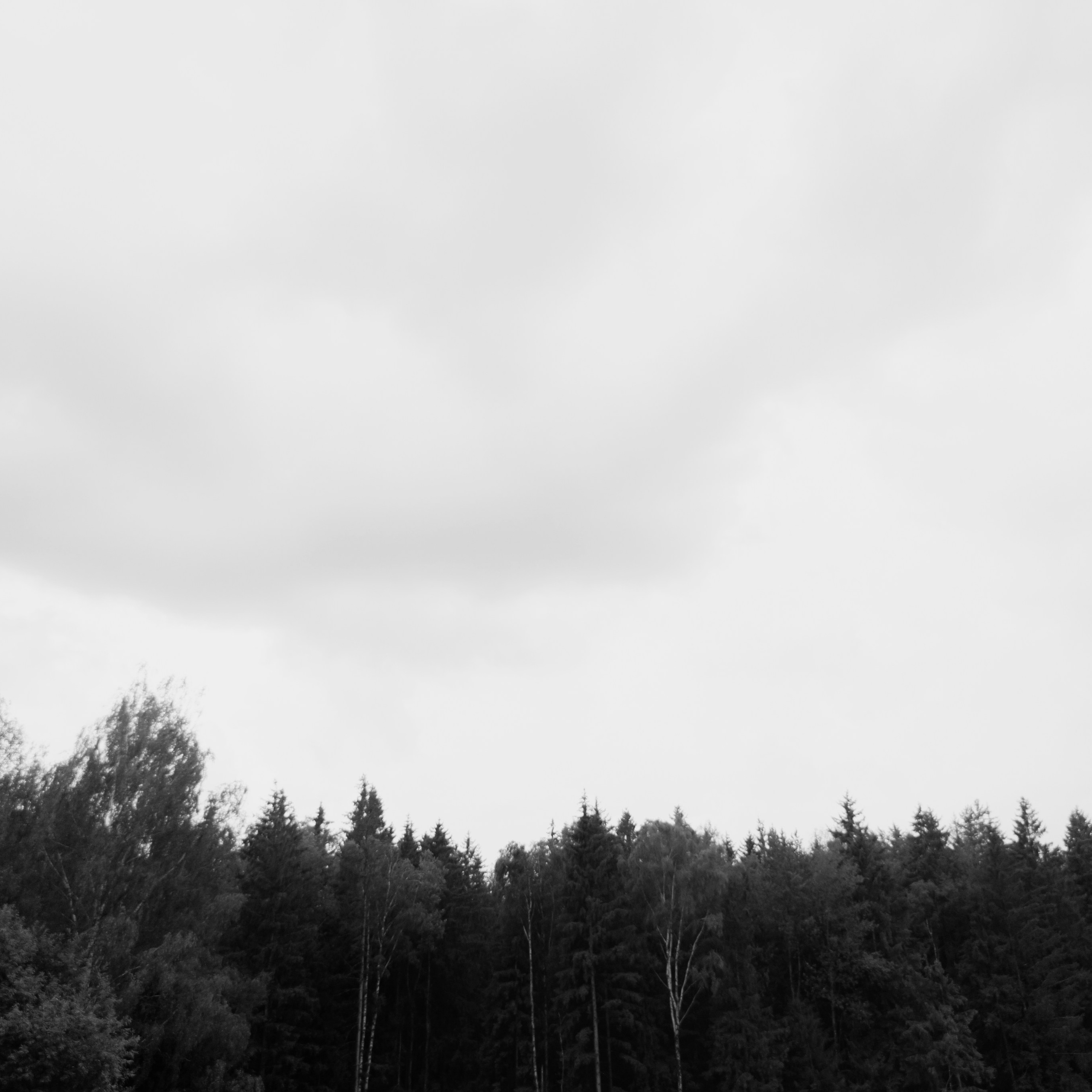 Влад Ира Royal Hall 1.07.2024