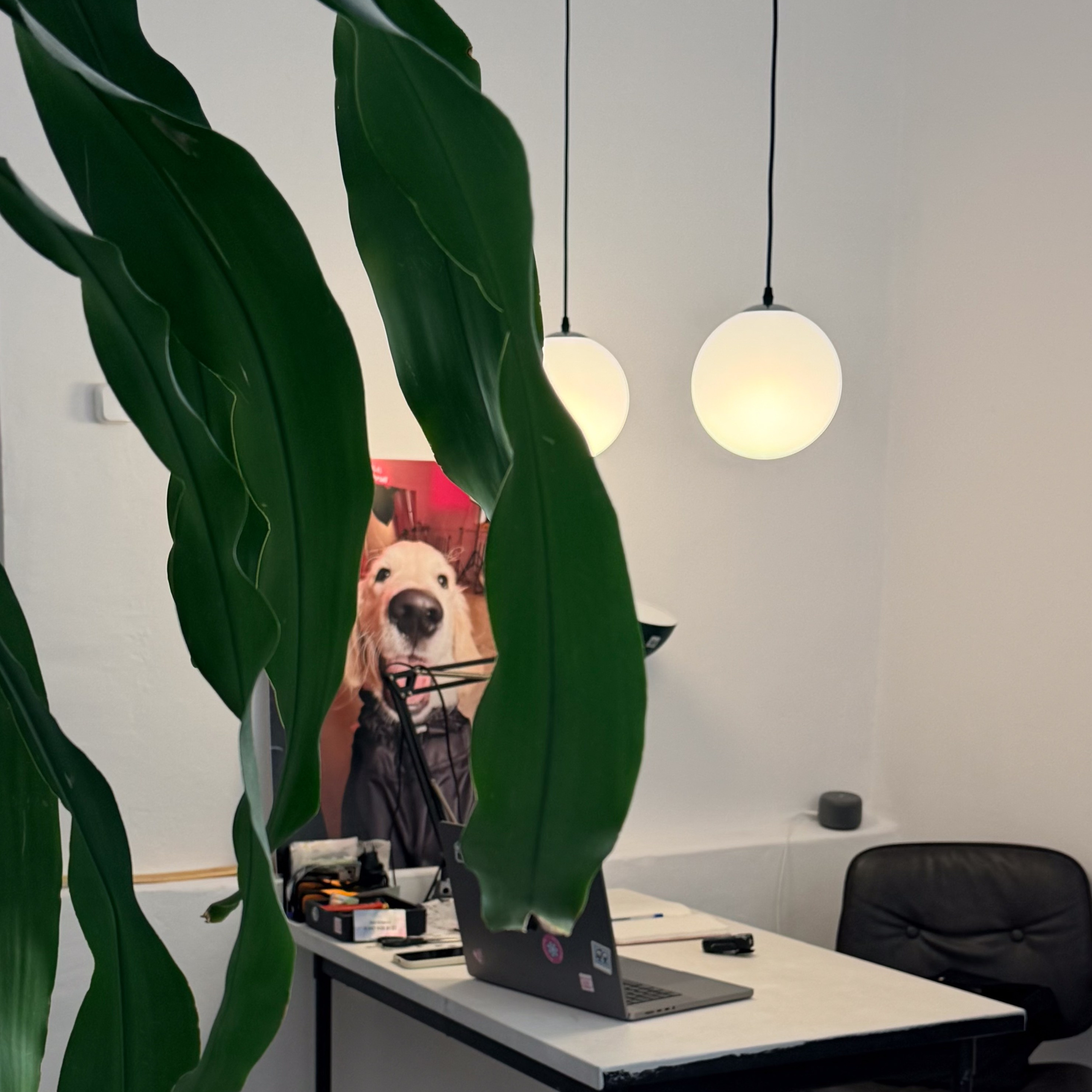 Ленинградская 29. Self-portrait studio in Samara