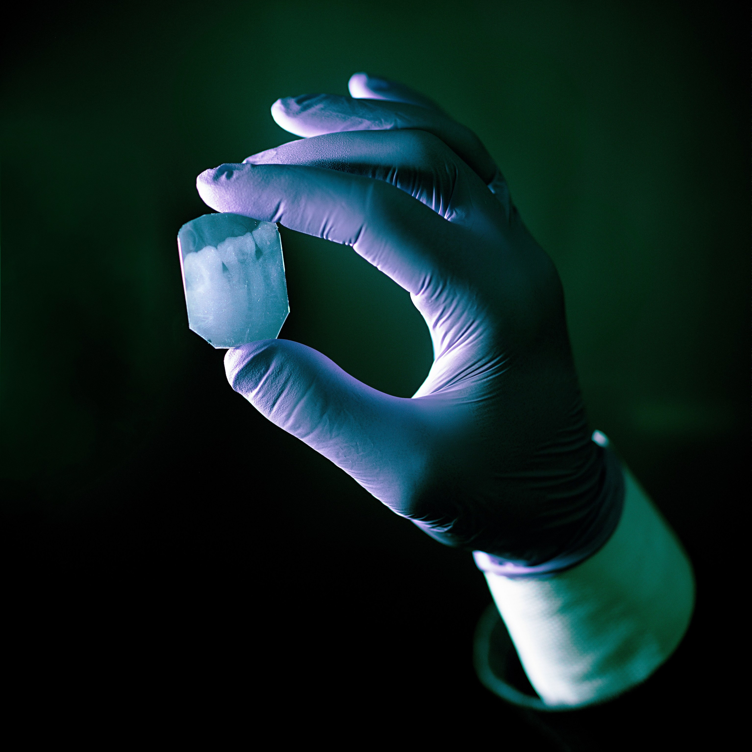 Отзывы. Проект «Монохром»